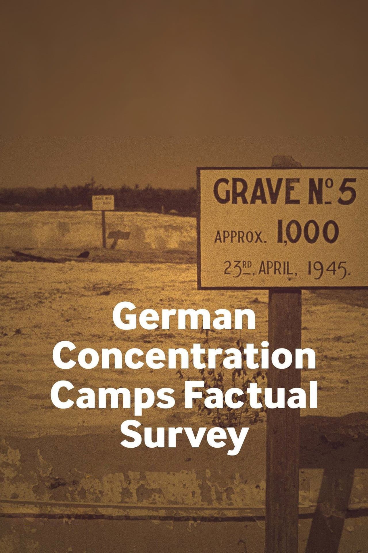 German Concentration Camps Factual Survey preview 2