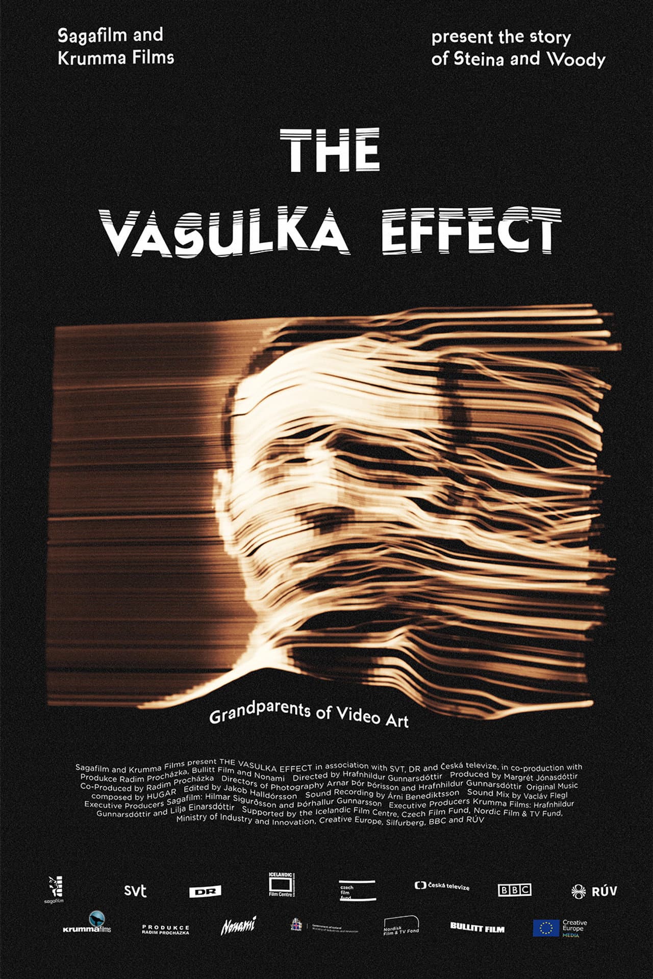 The Vasulka Effect preview 2