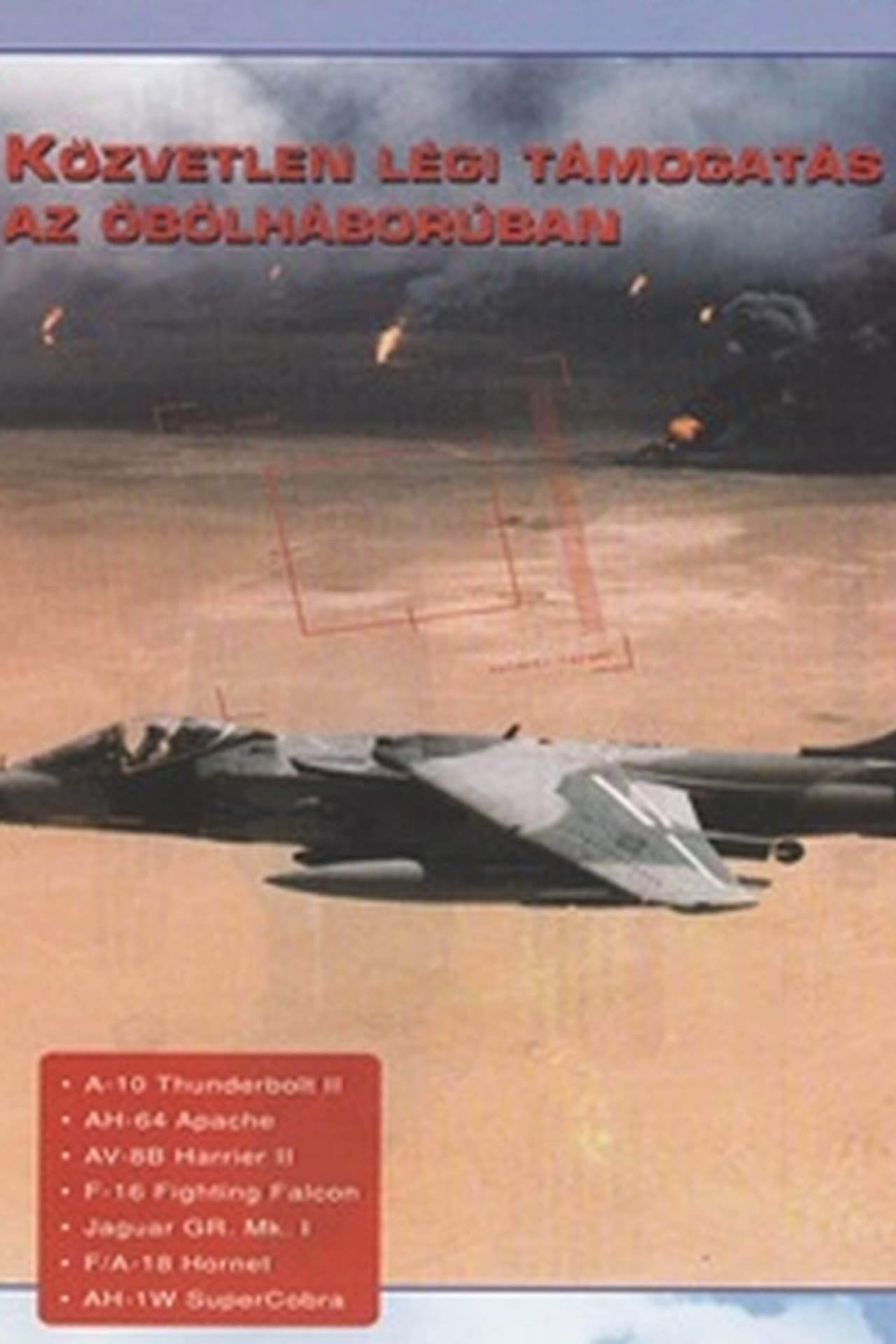 Combat in the Air - Close Air Support in the Gulf preview 1