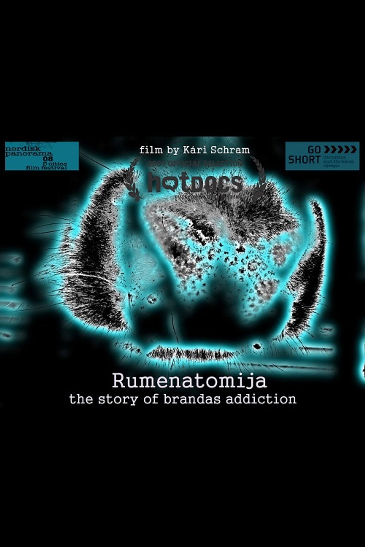 Rumenatomija: The Story of Brandas Addiction preview 1
