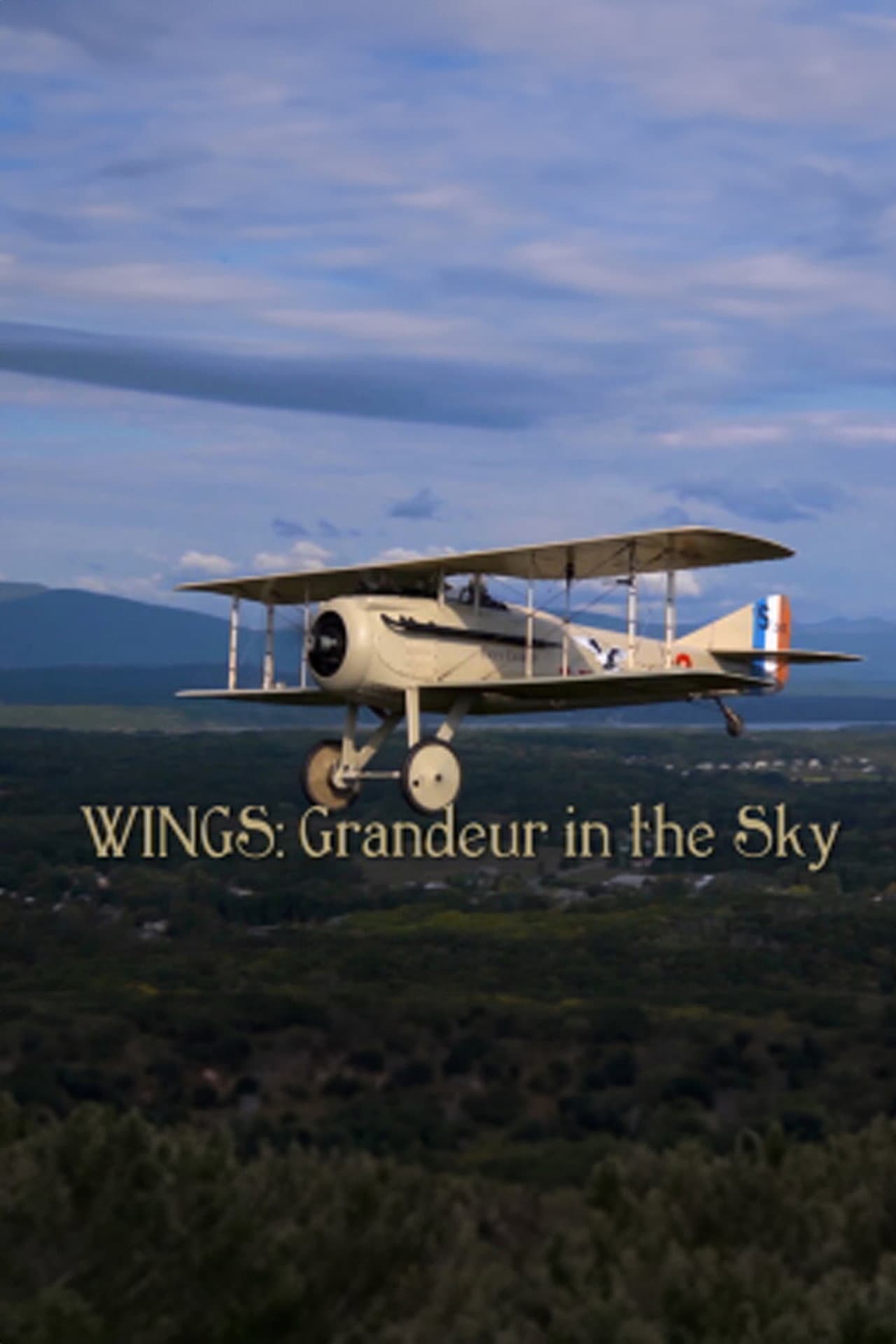 Wings: Grandeur in the Sky preview 1