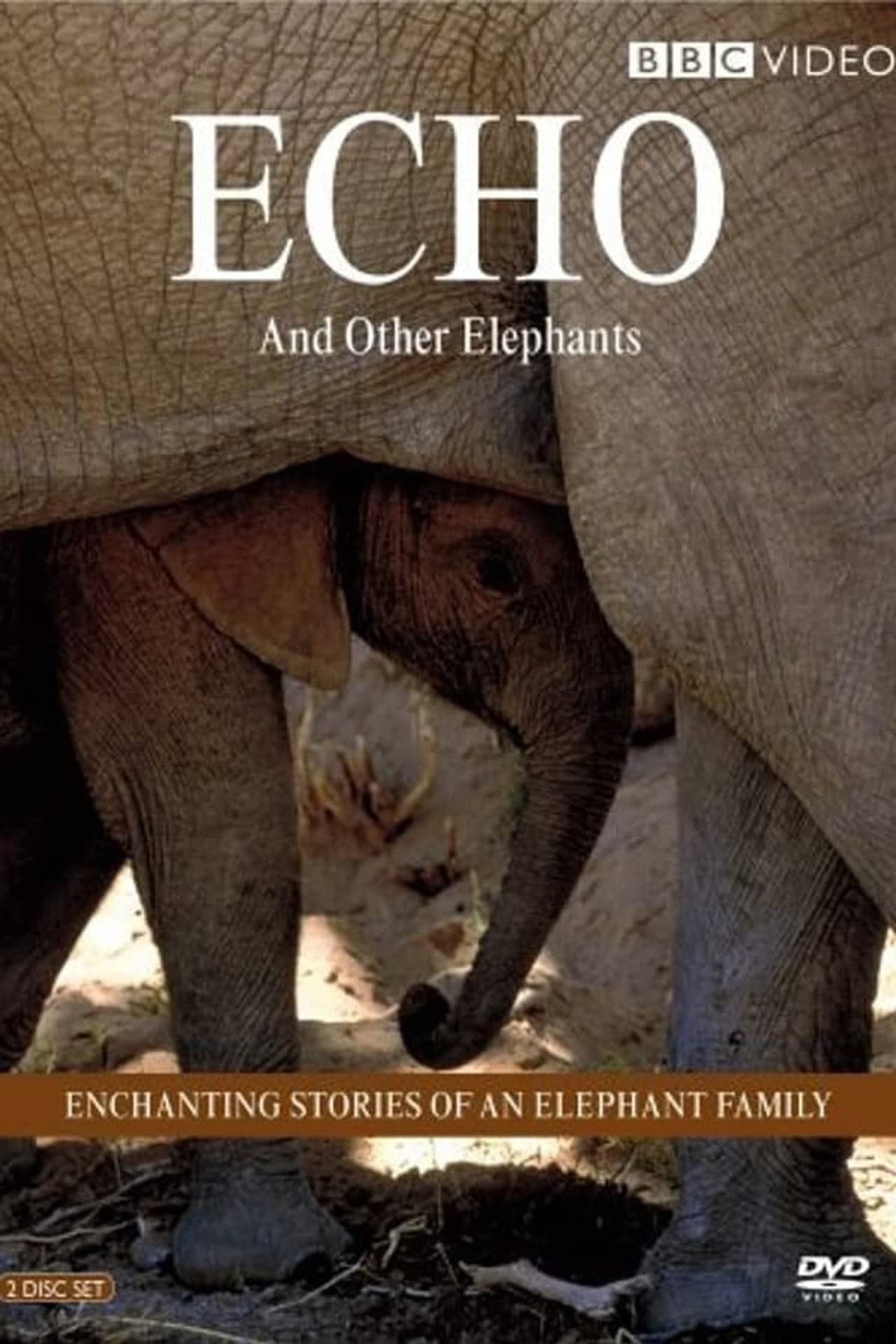 Echo and Other Elephants preview 1