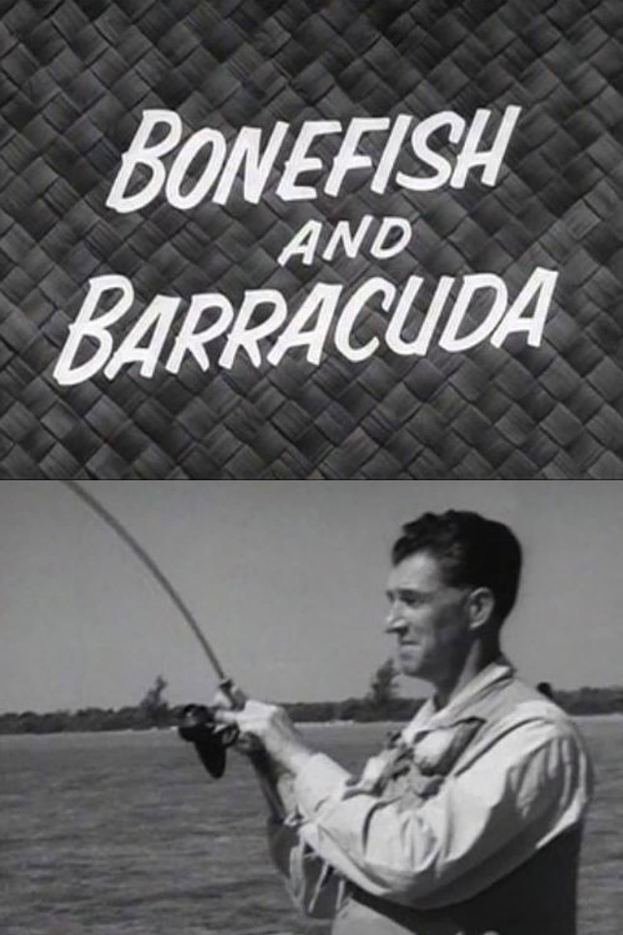 Bonefish and Barracuda preview 1