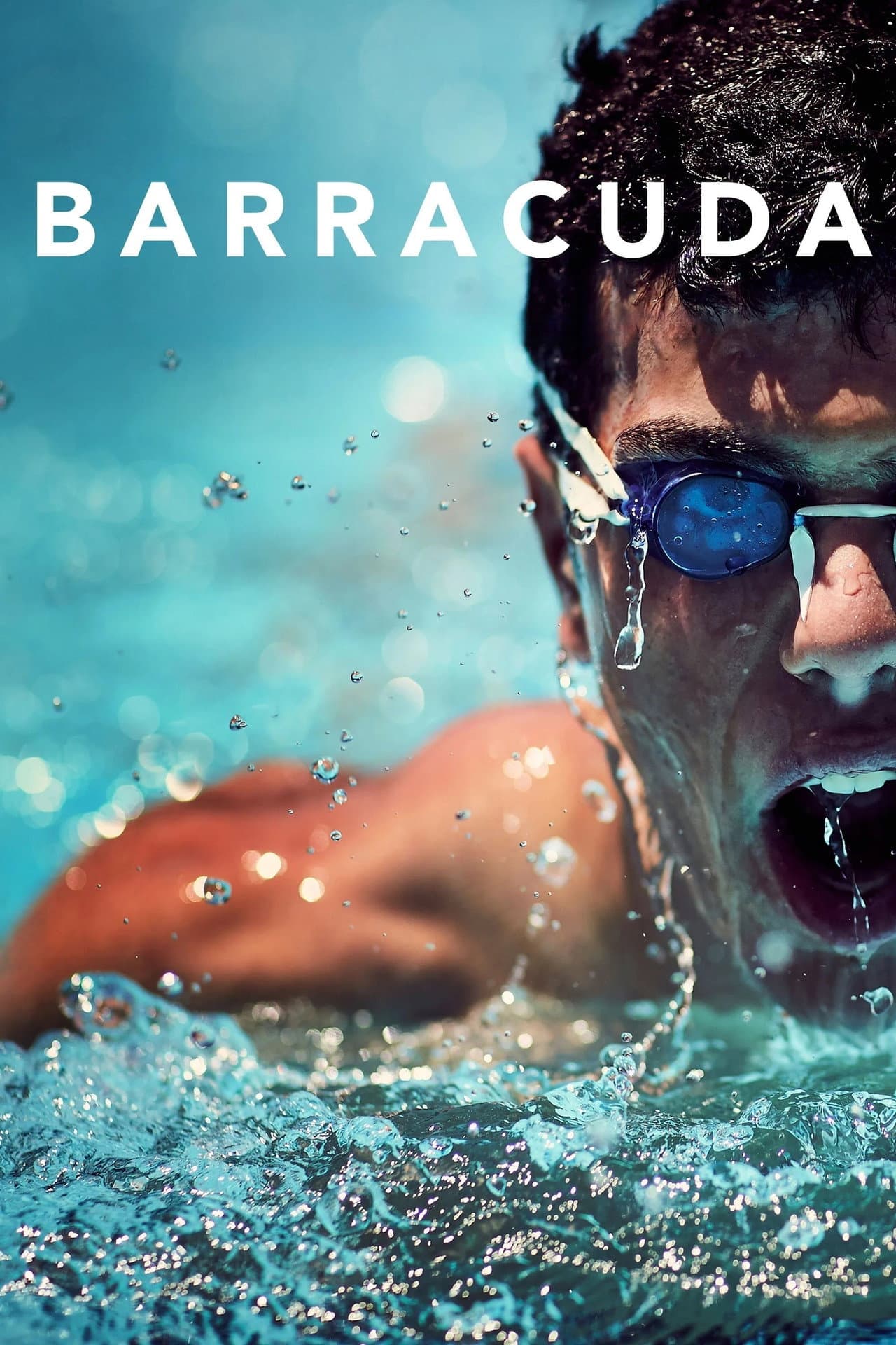 Barracuda preview 2