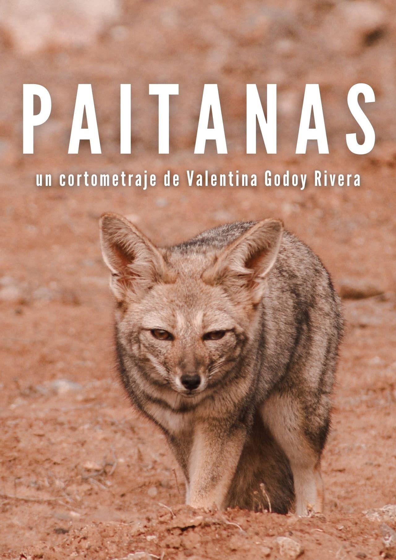 Paitanas preview 1