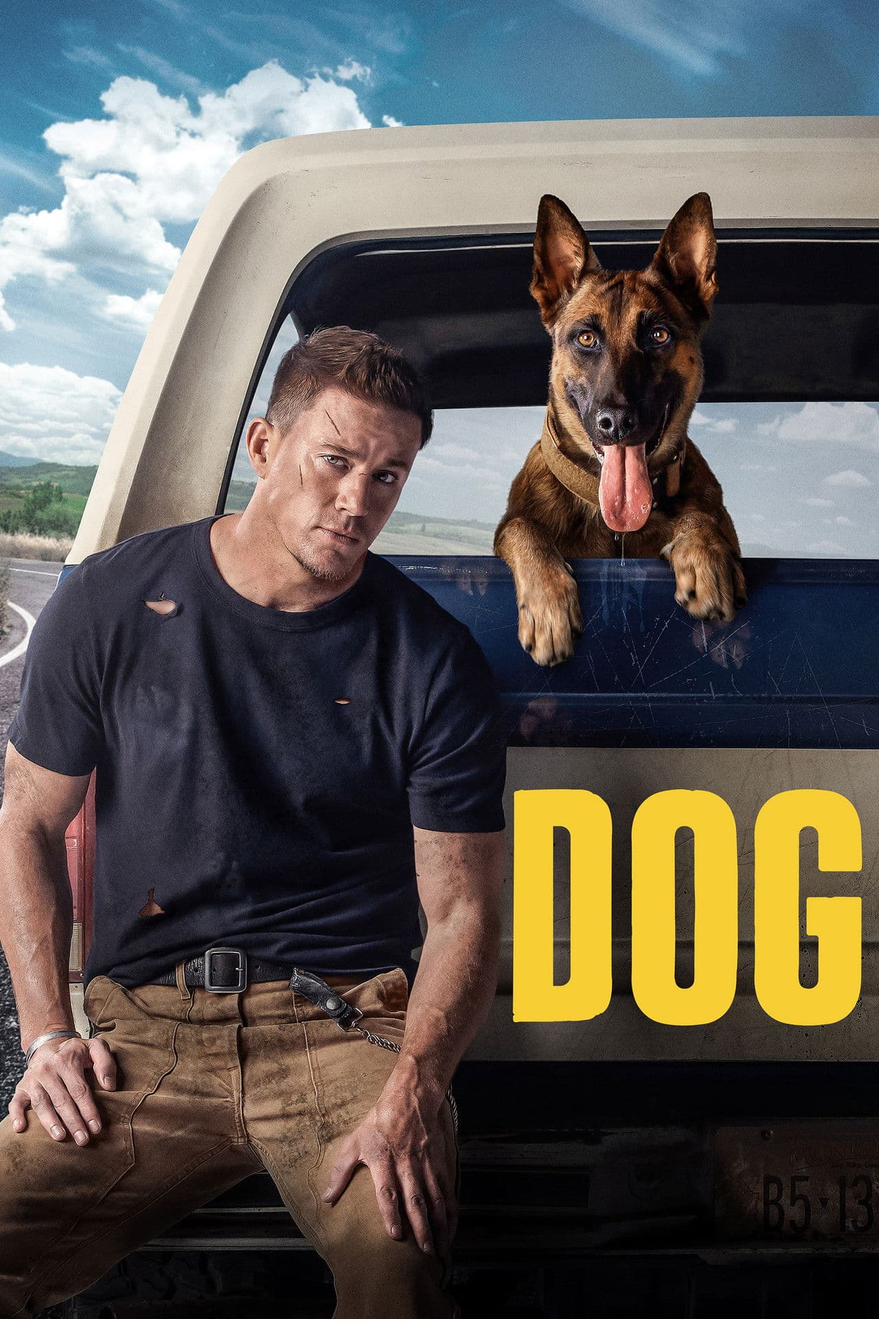 Dog preview 2