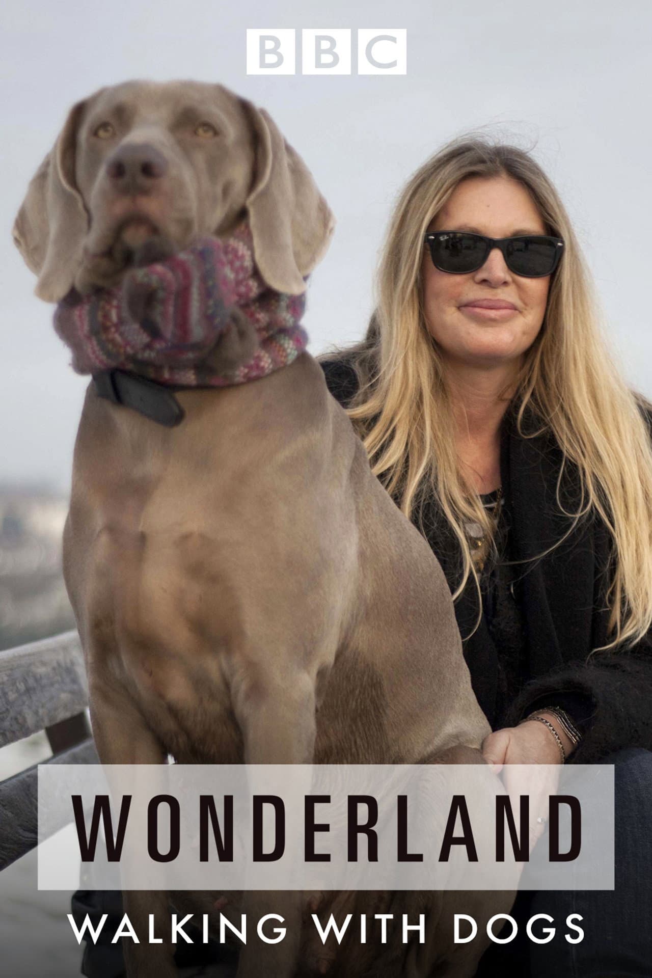 Walking with Dogs: A Wonderland Special preview 2