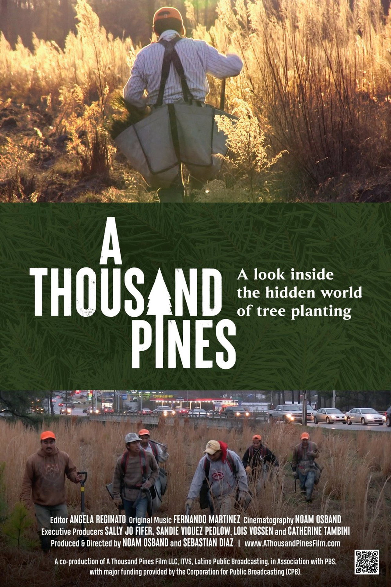 A Thousand Pines preview 2