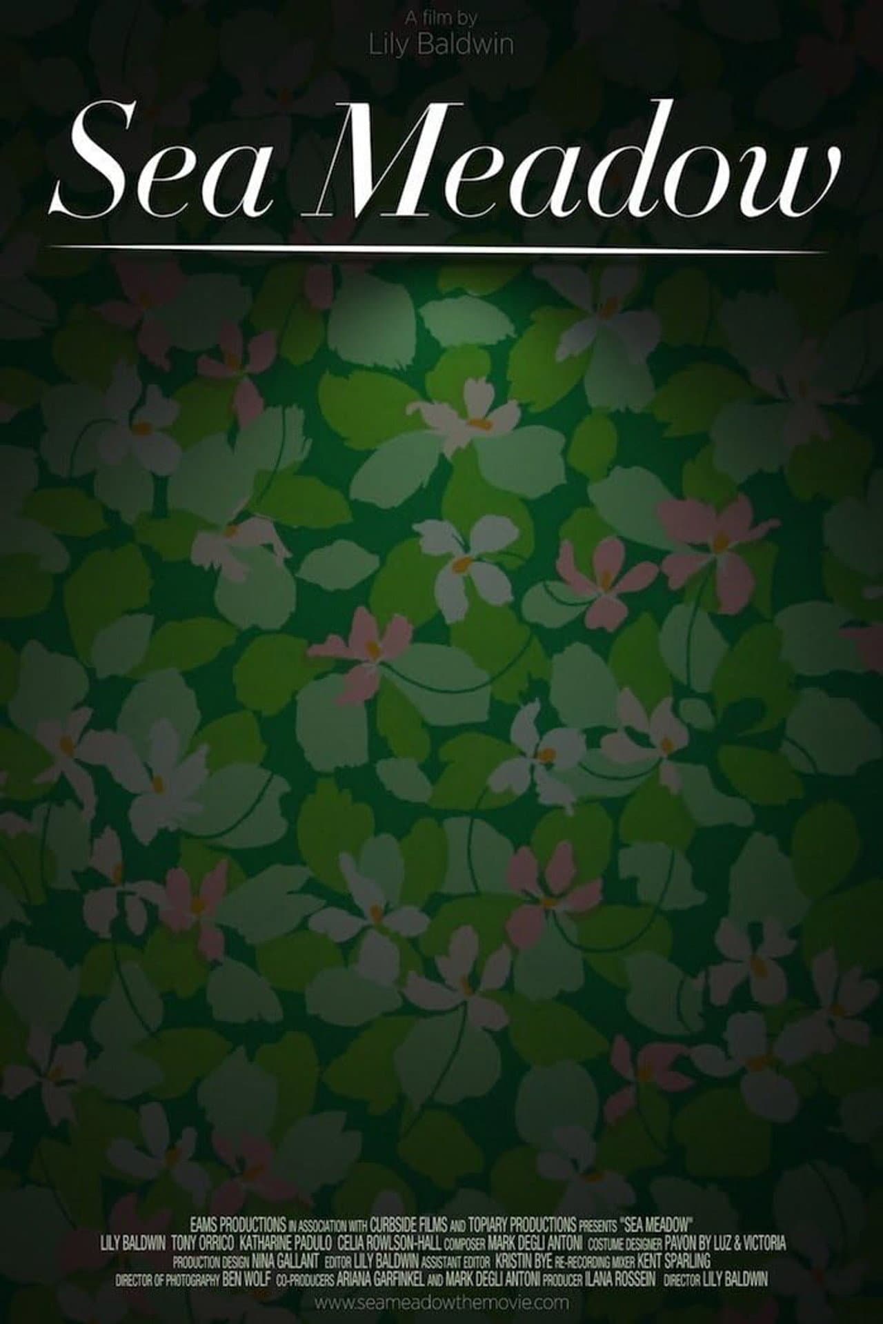 Sea Meadow preview 2