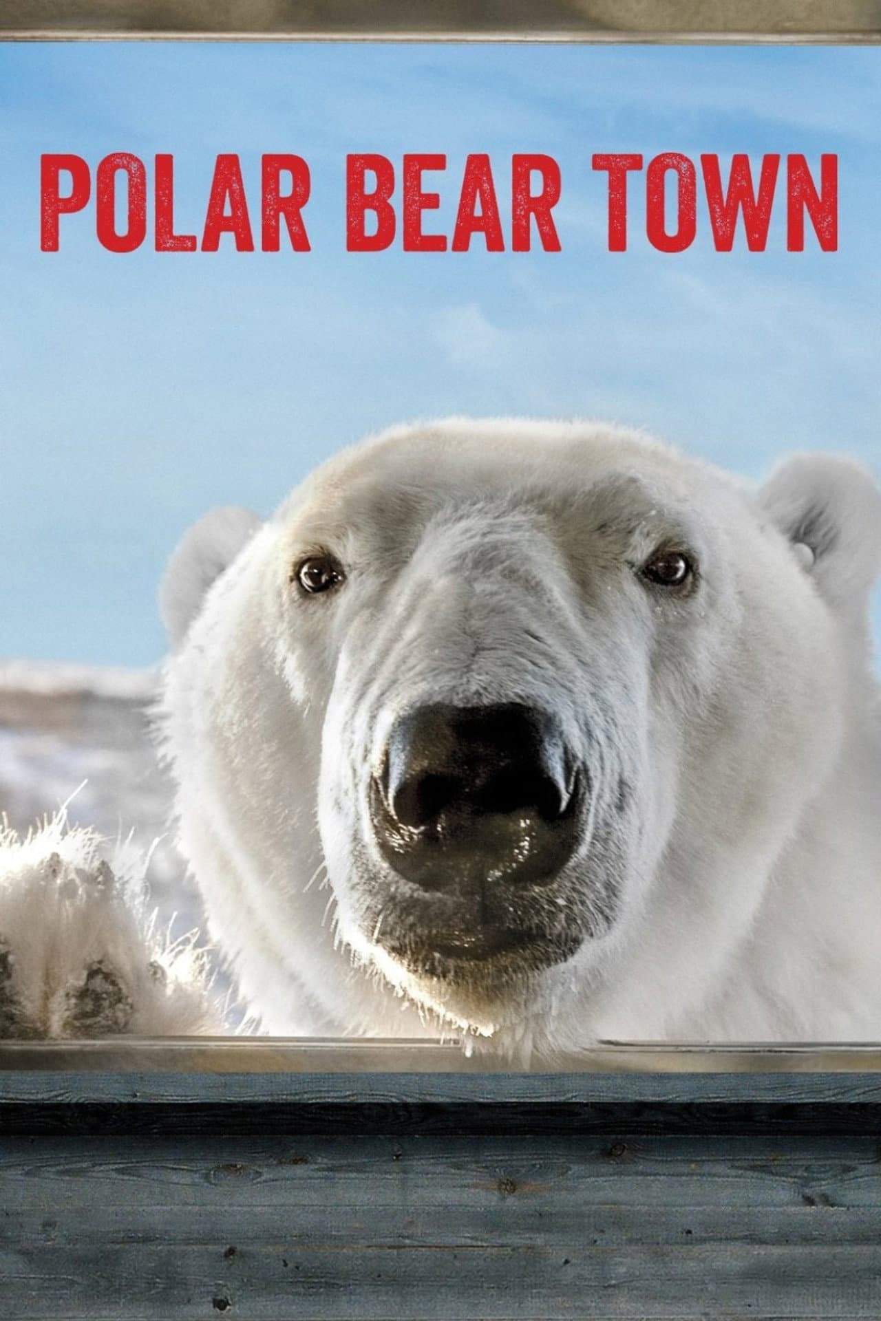 Polar Bear Town preview 1