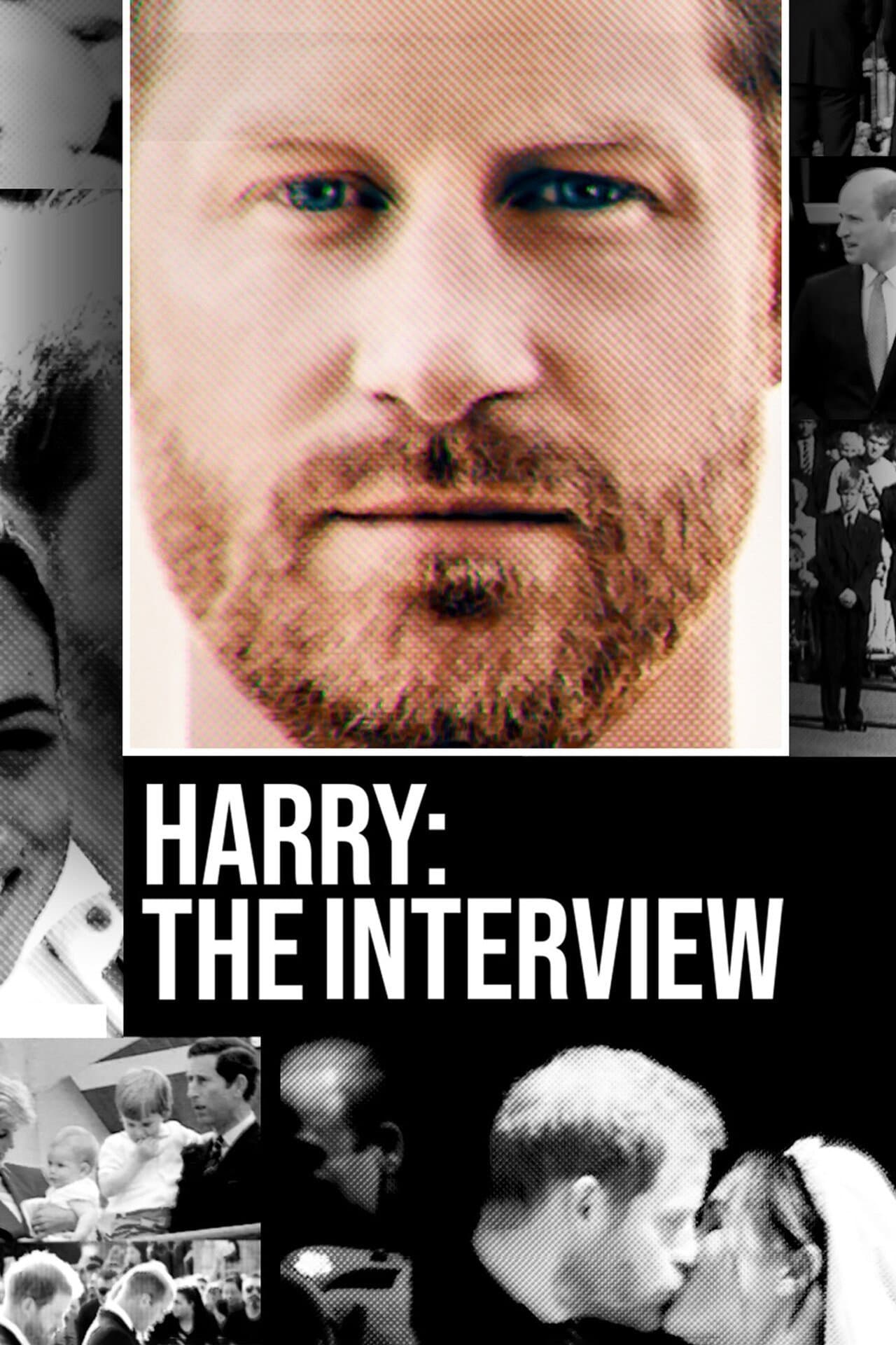 Harry: The Interview preview 2