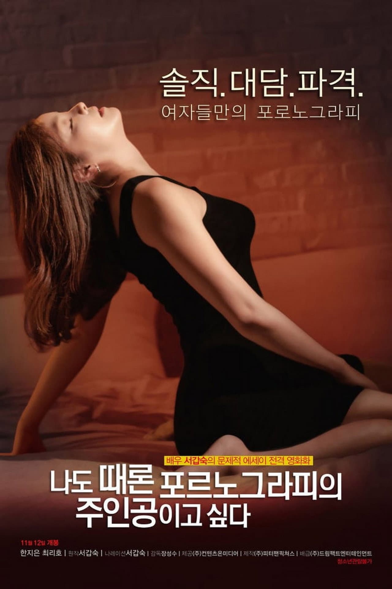 Sometimes Pornography Star preview 2