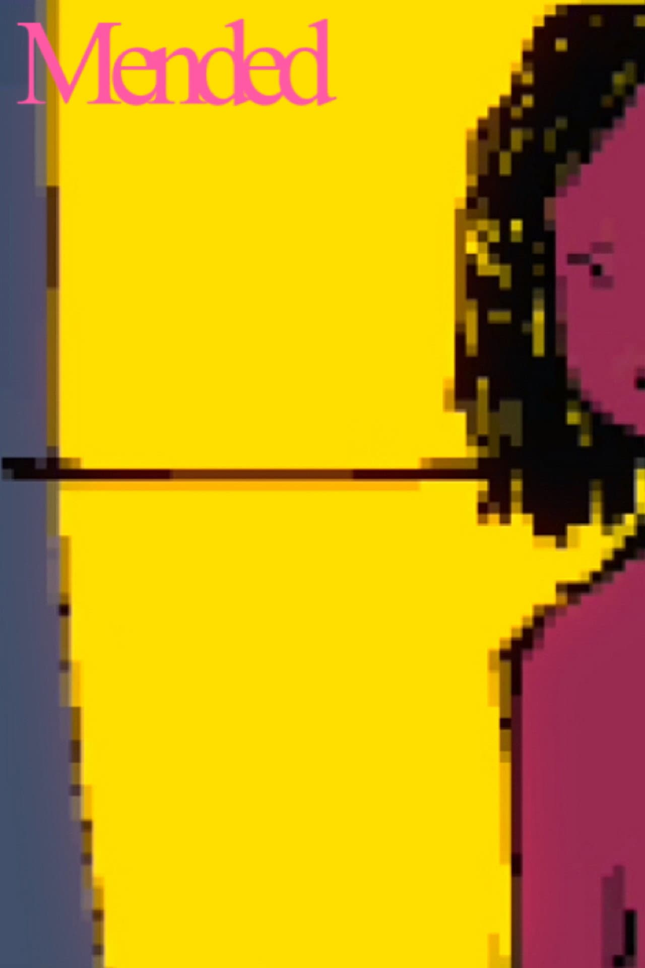 Mended preview 2