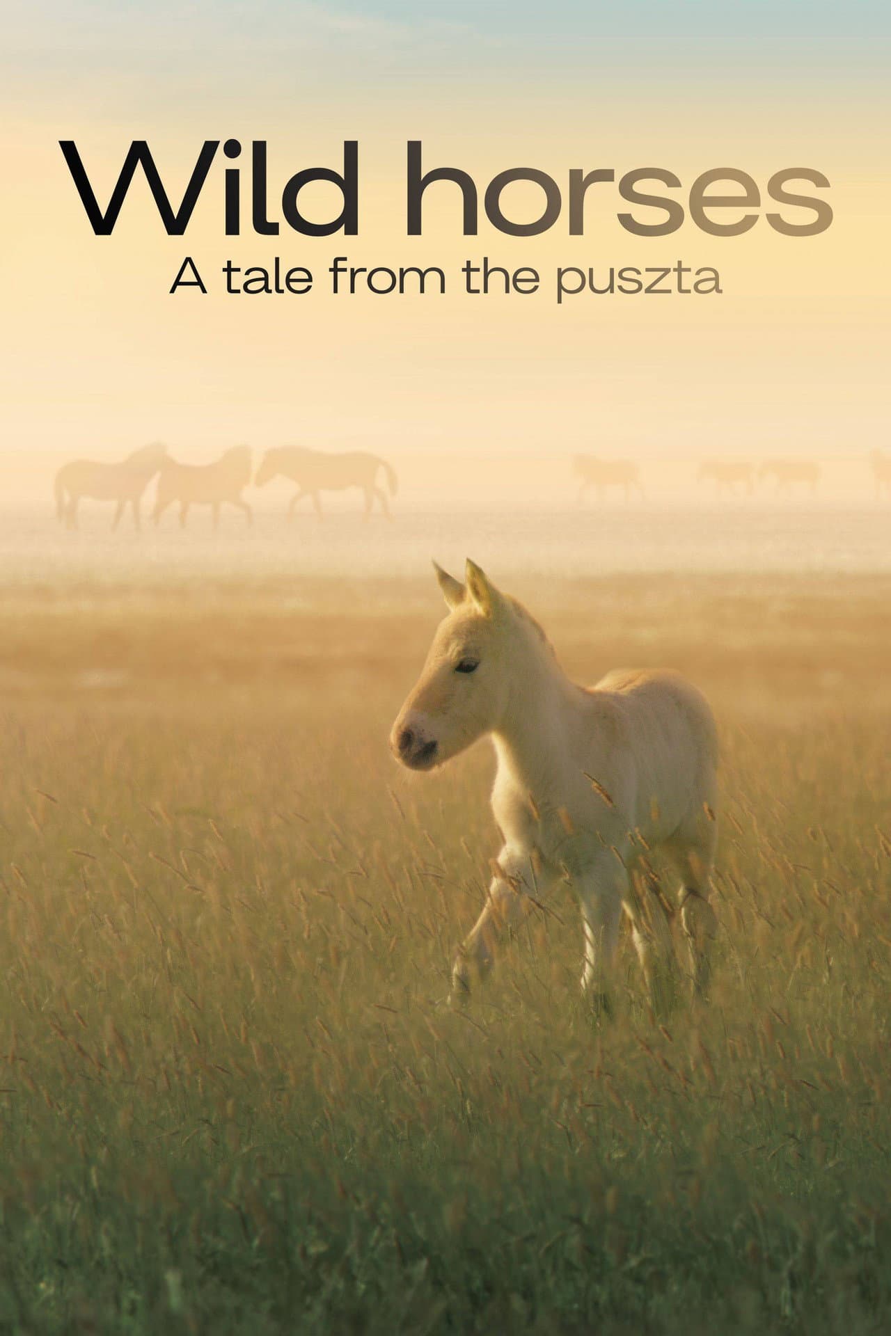 Wild Horses - A Tale From The Puszta preview 2