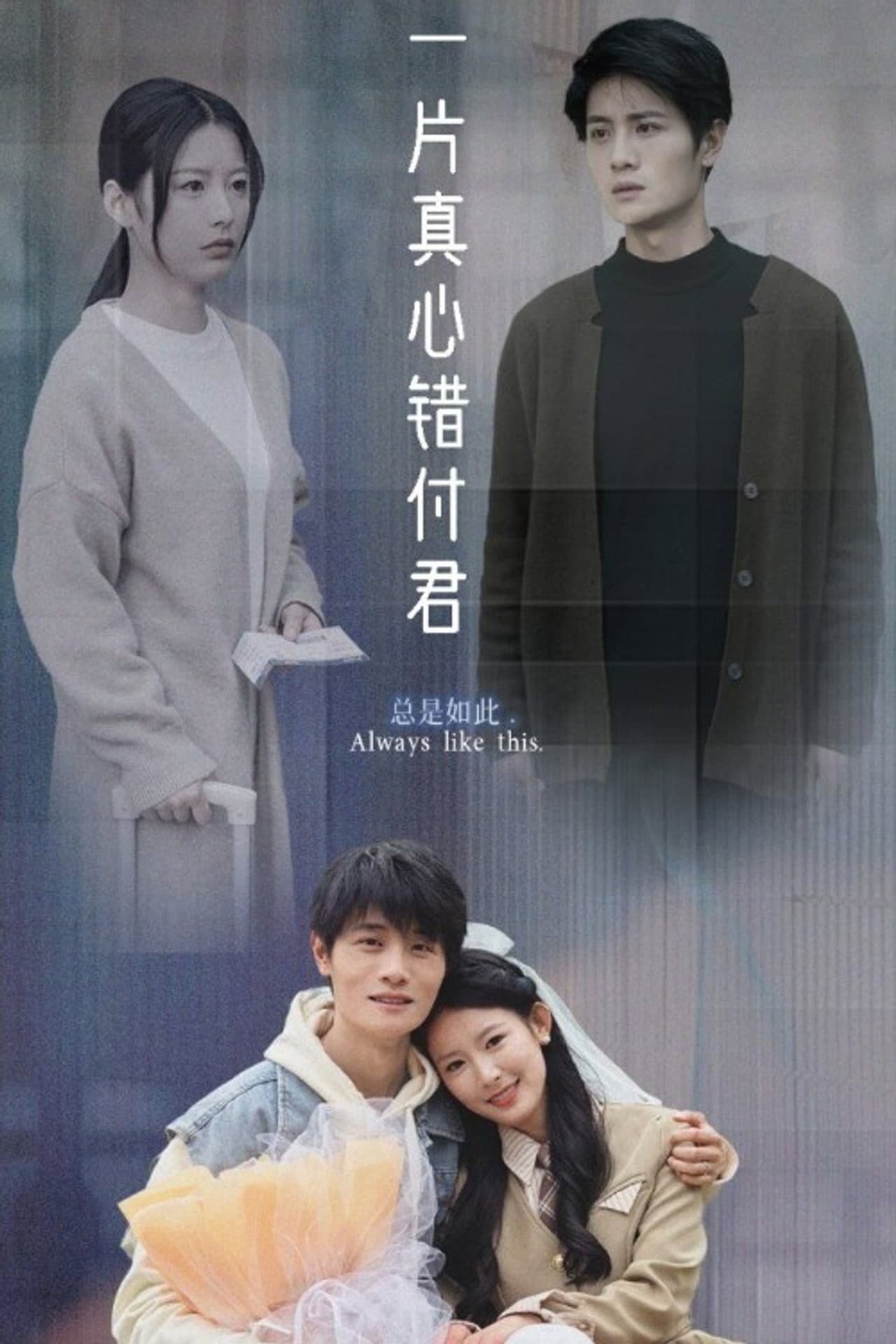 一片真心错付君 preview 1