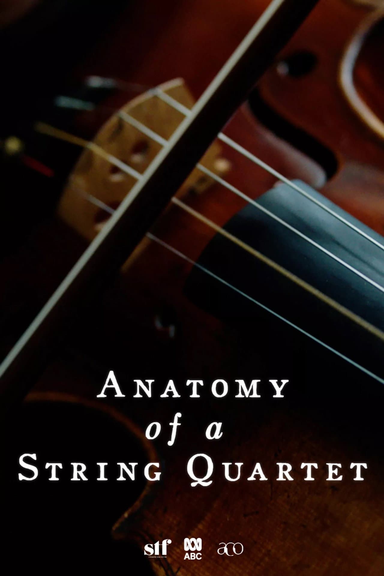 Anatomy of a String Quartet preview 2