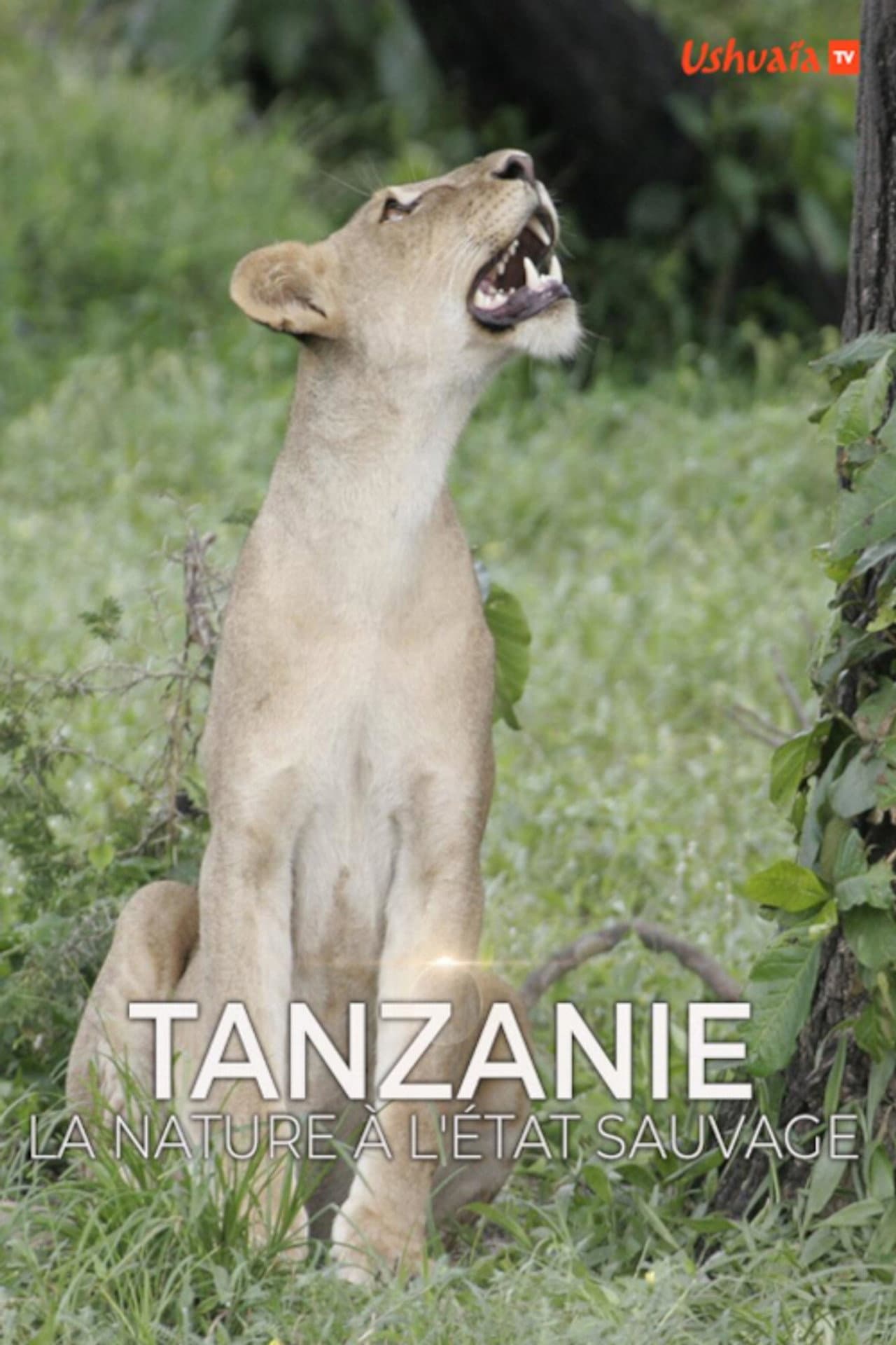 Tanzanie, la nature à l'état sauvage preview 2