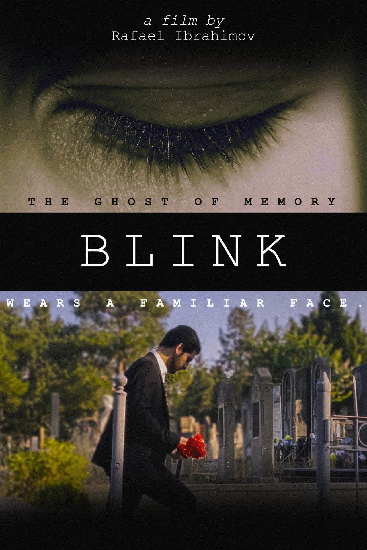 Blink preview 1