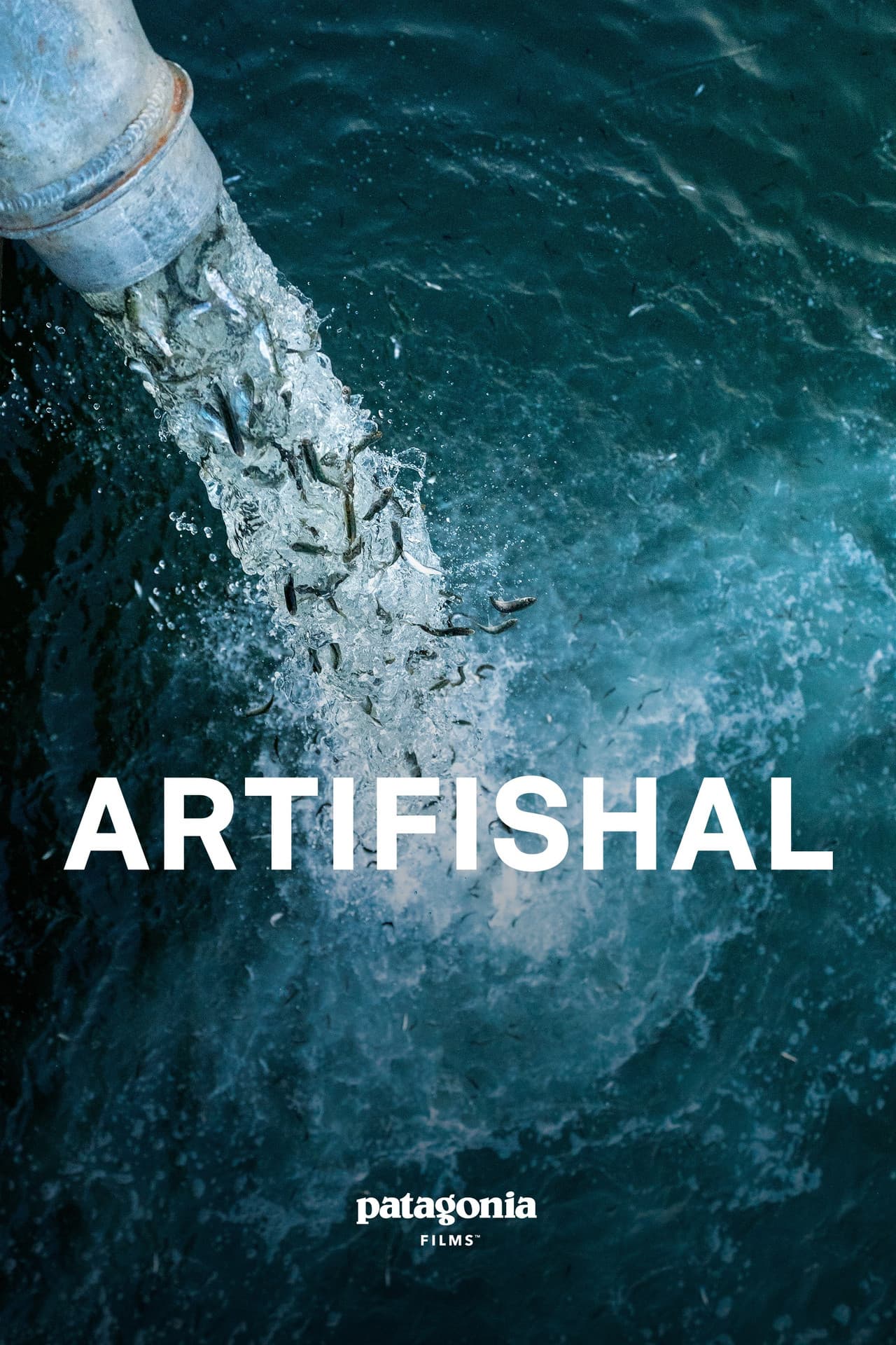 Artifishal preview 2