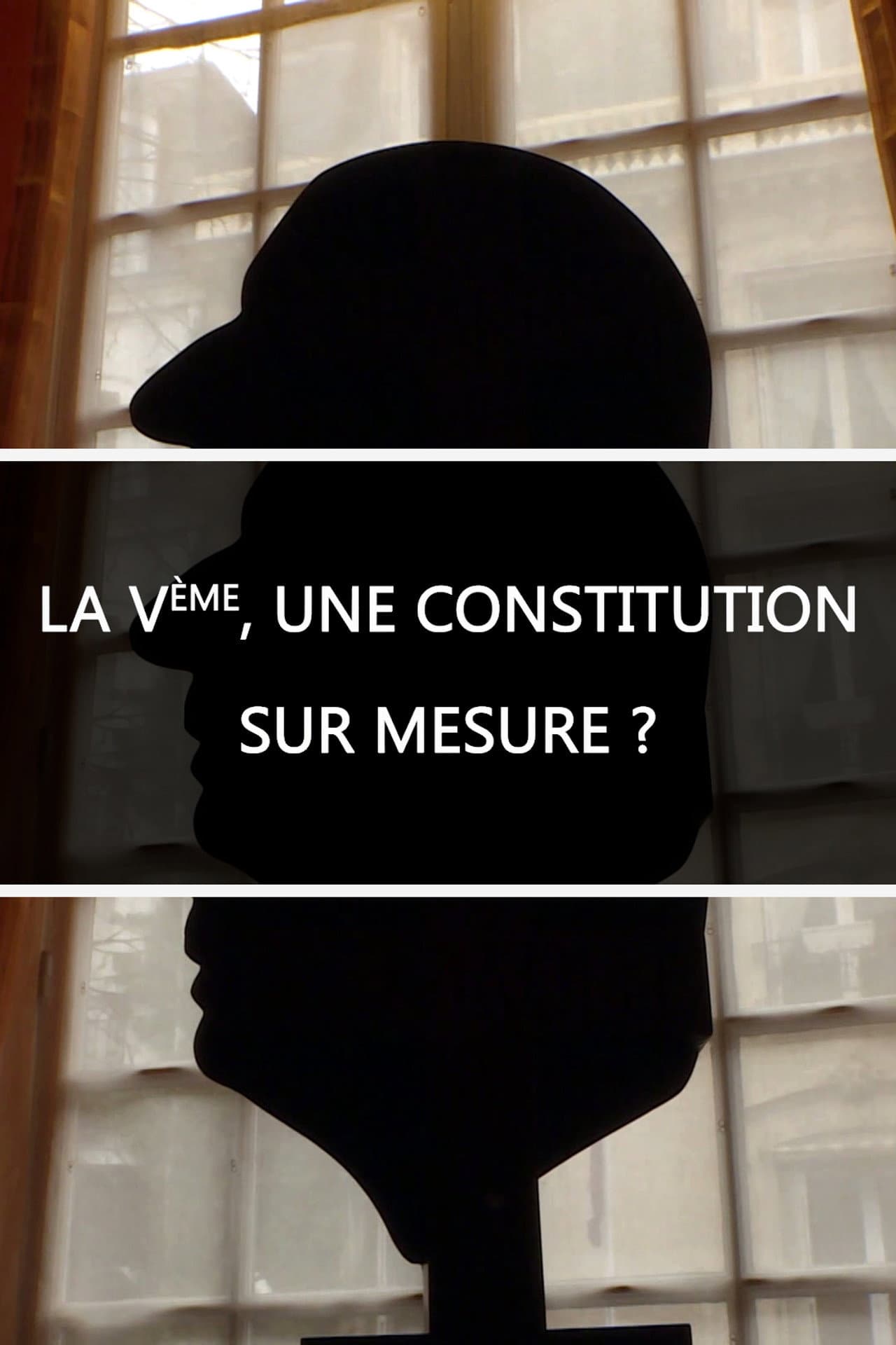 La Ve, une constitution sur mesure ? preview 2