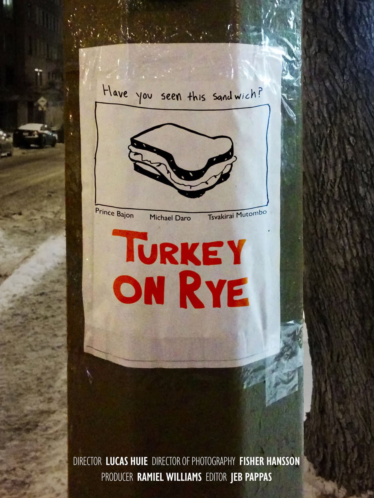 Turkey on Rye preview 1