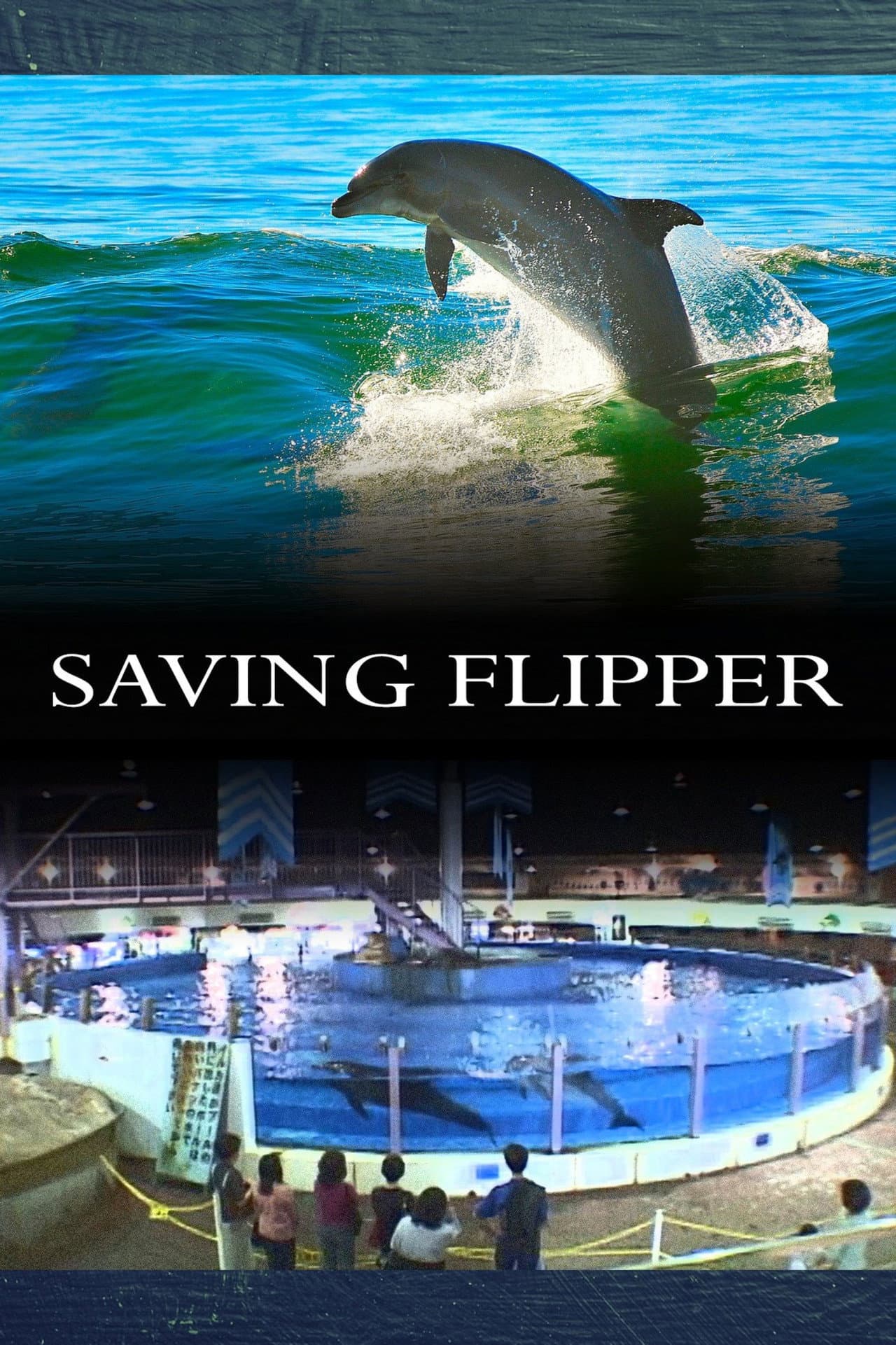 Saving Flipper preview 2