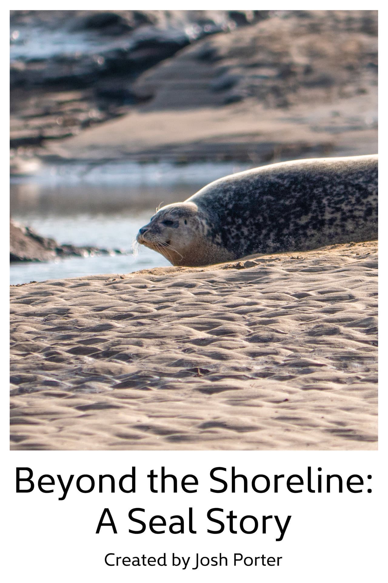 Beyond the Shoreline: A Seal Story preview 1
