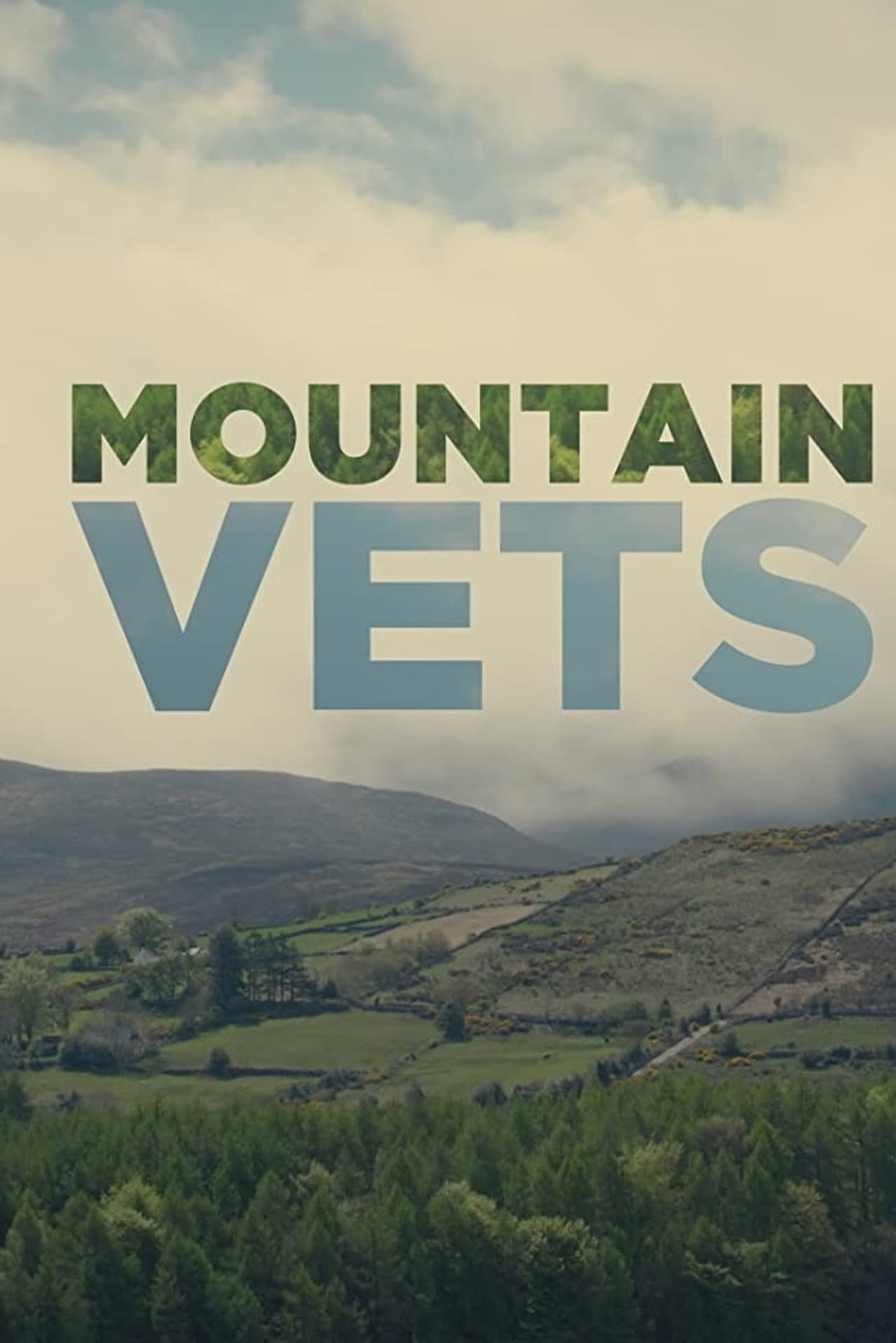 Mountain Vets preview 2