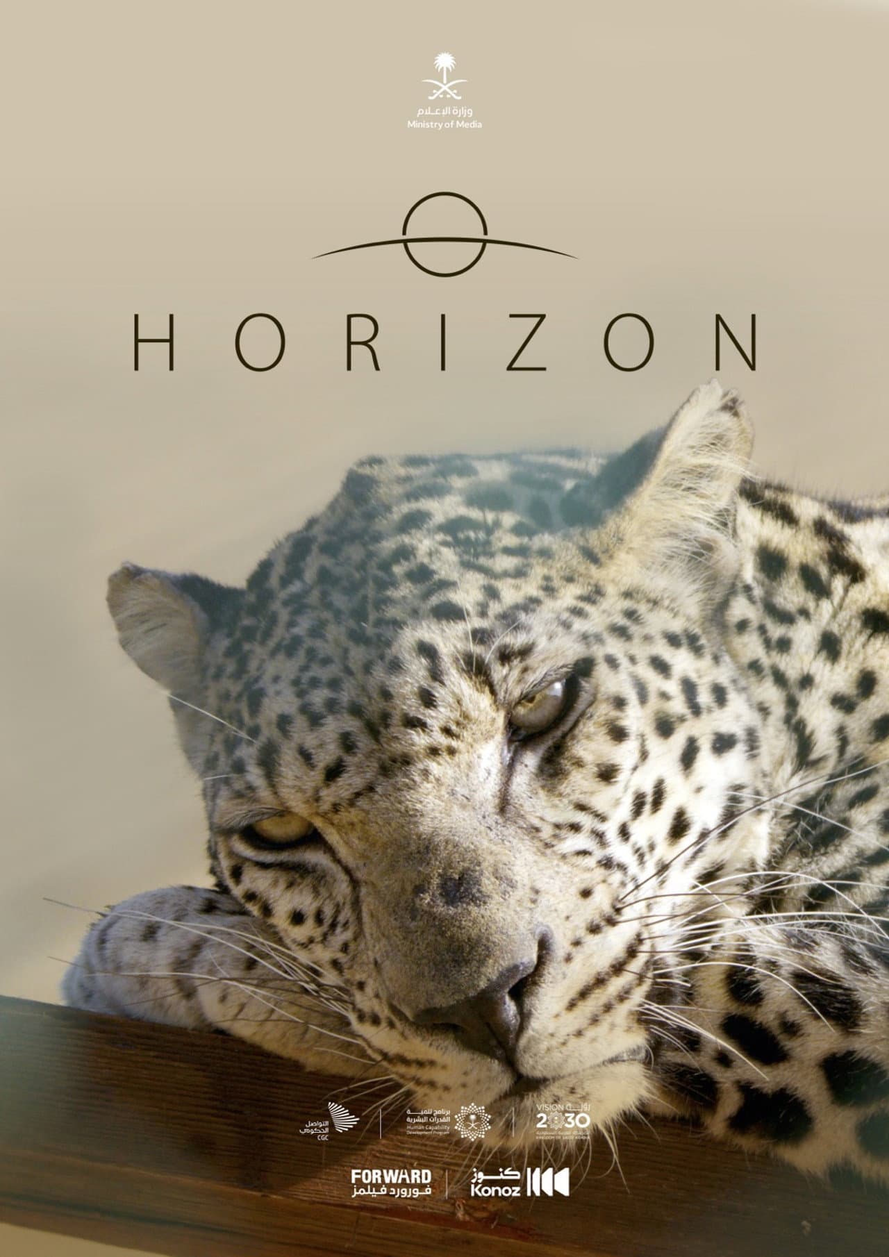 Horizon preview 1