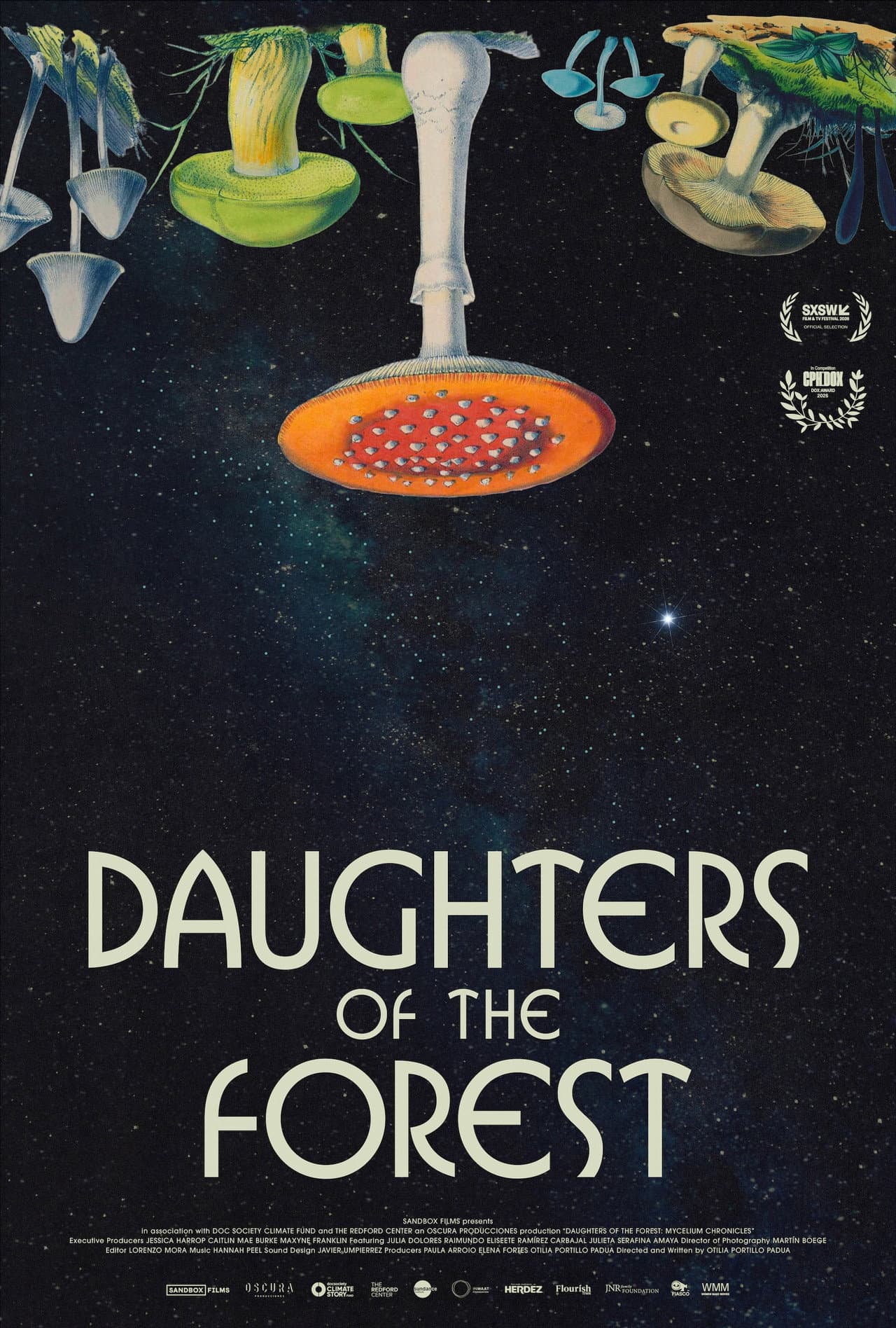 Daughters of the Forest preview 2