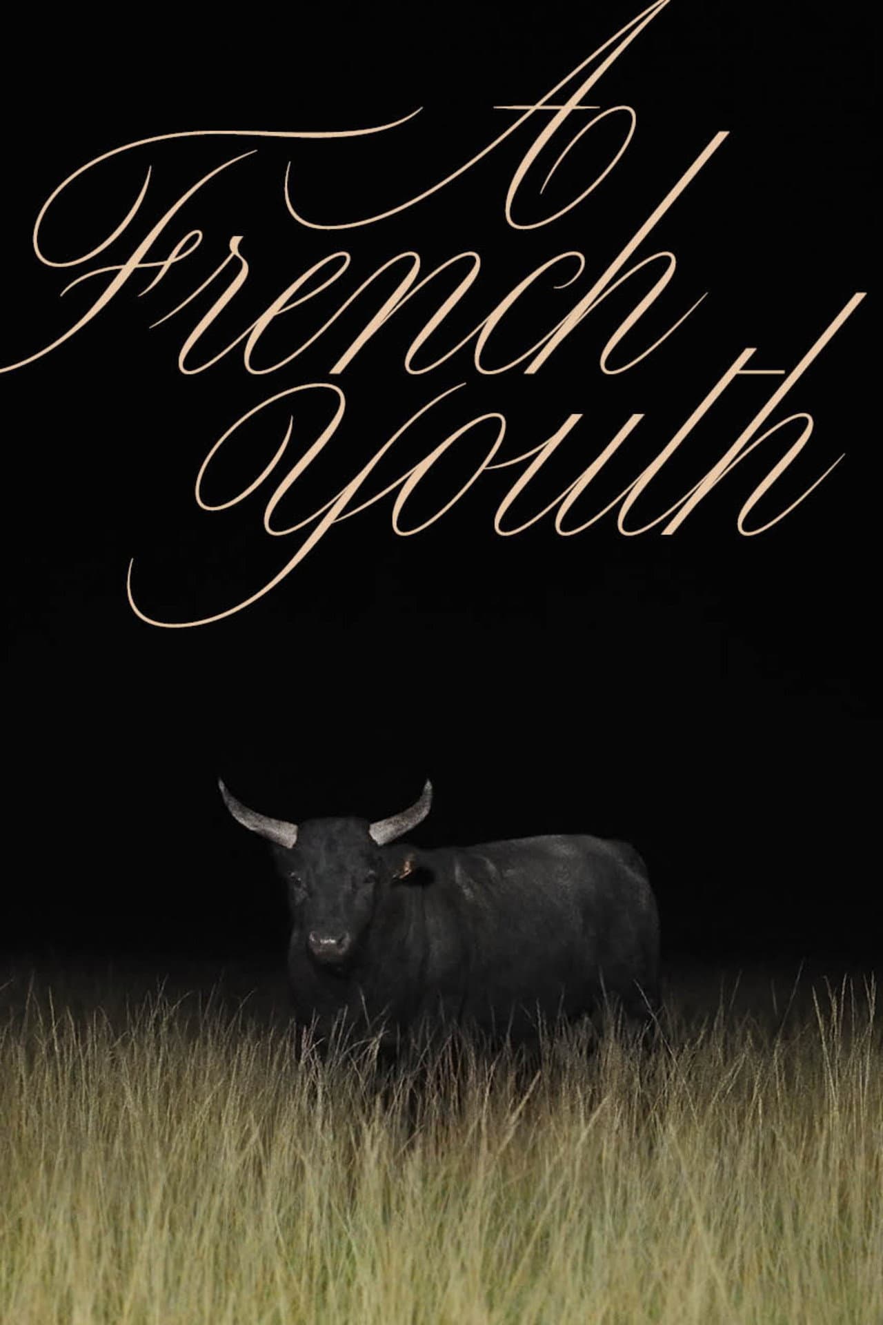 A French Youth preview 2