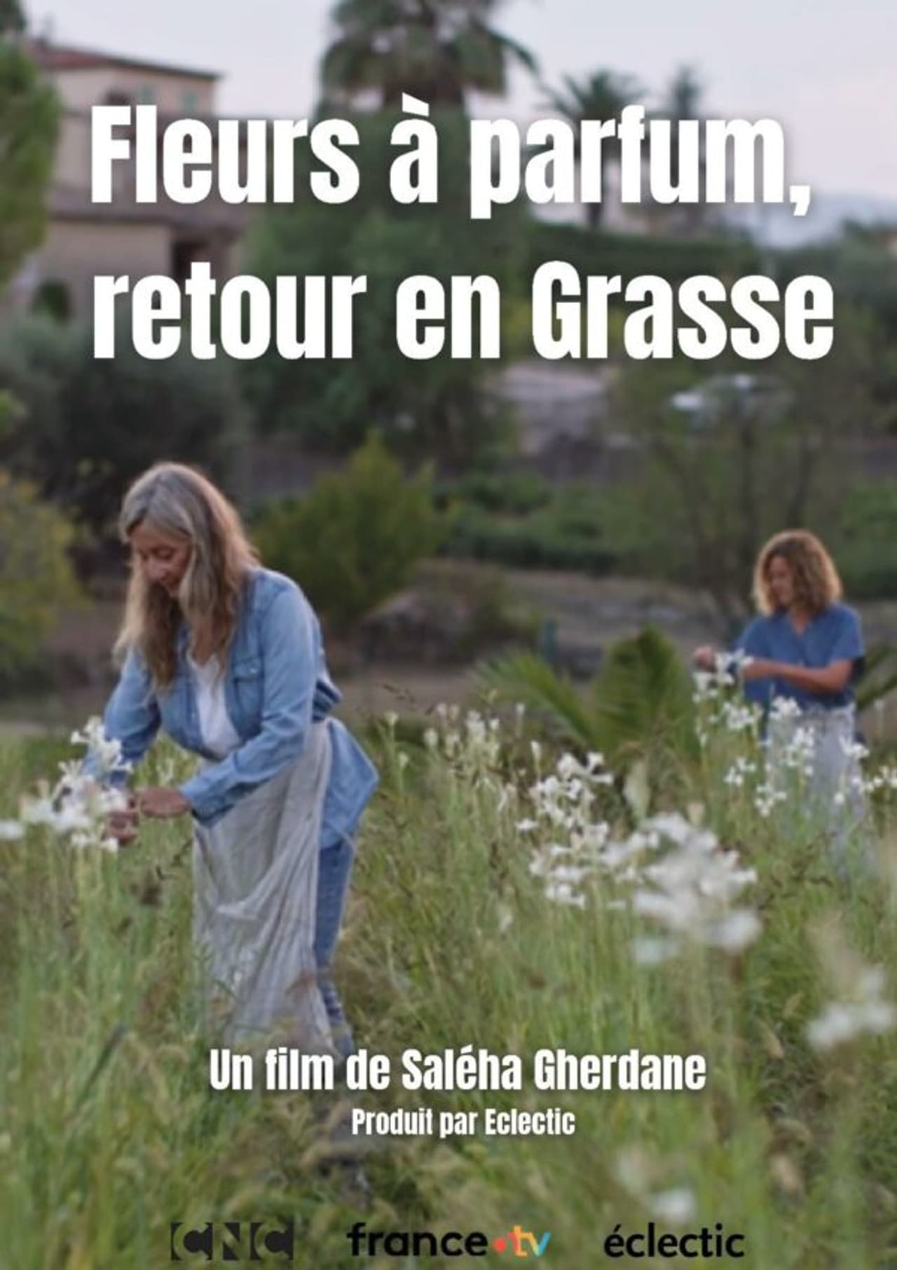 Fleurs à parfum, retour en Grasse preview 2