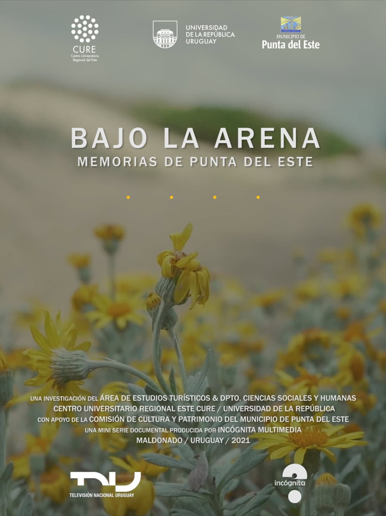 Bajo la arena. Memorias de Punta del Este preview 1