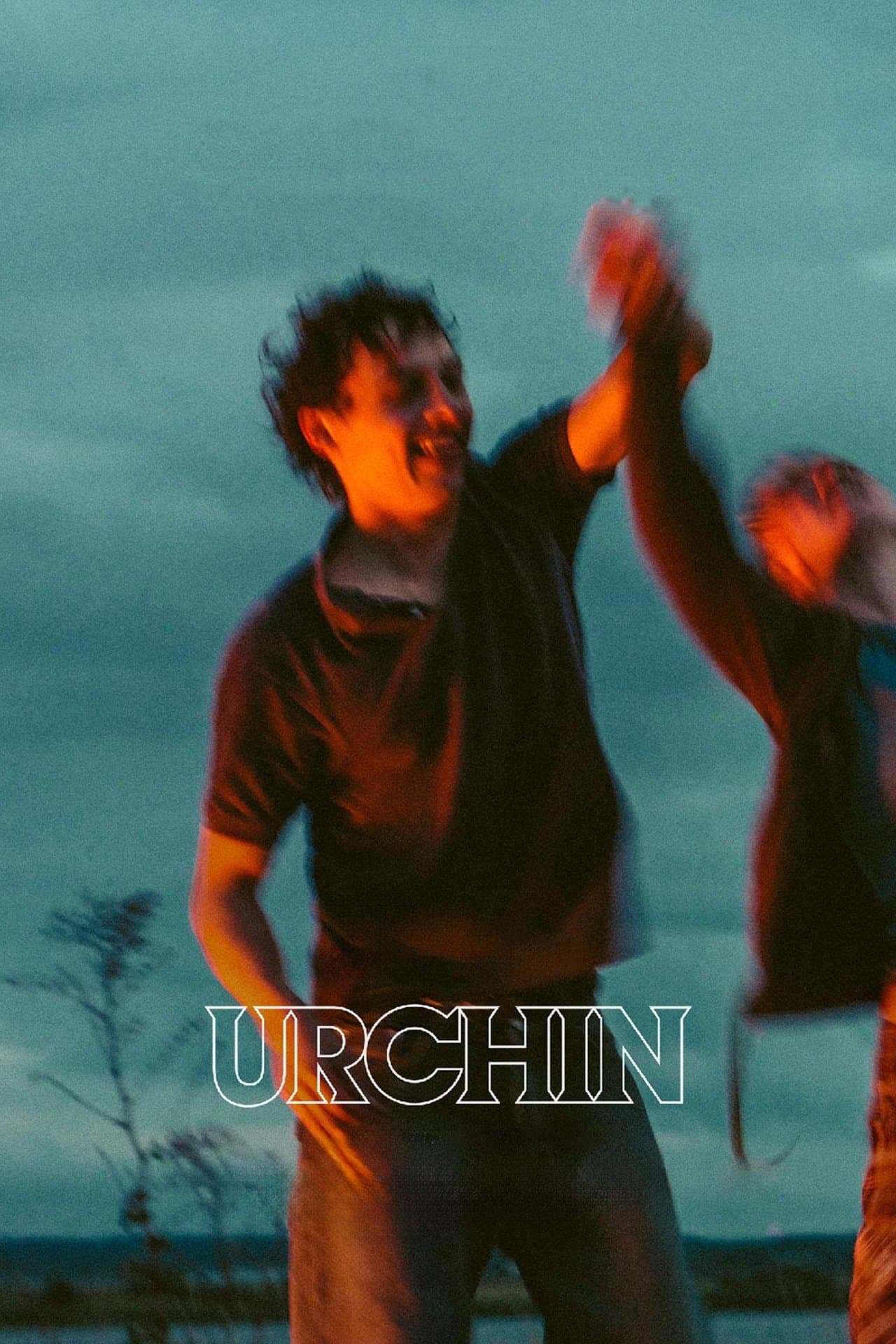 Urchin preview 2
