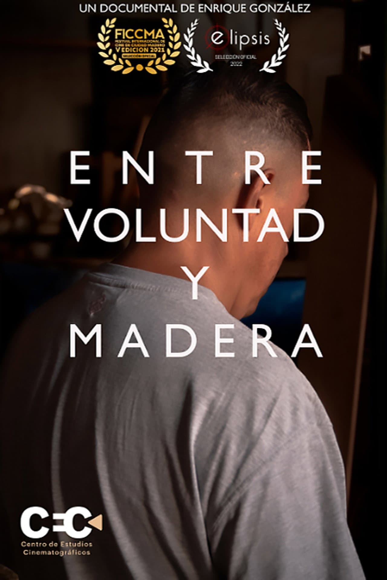 Entre voluntad y madera preview 2