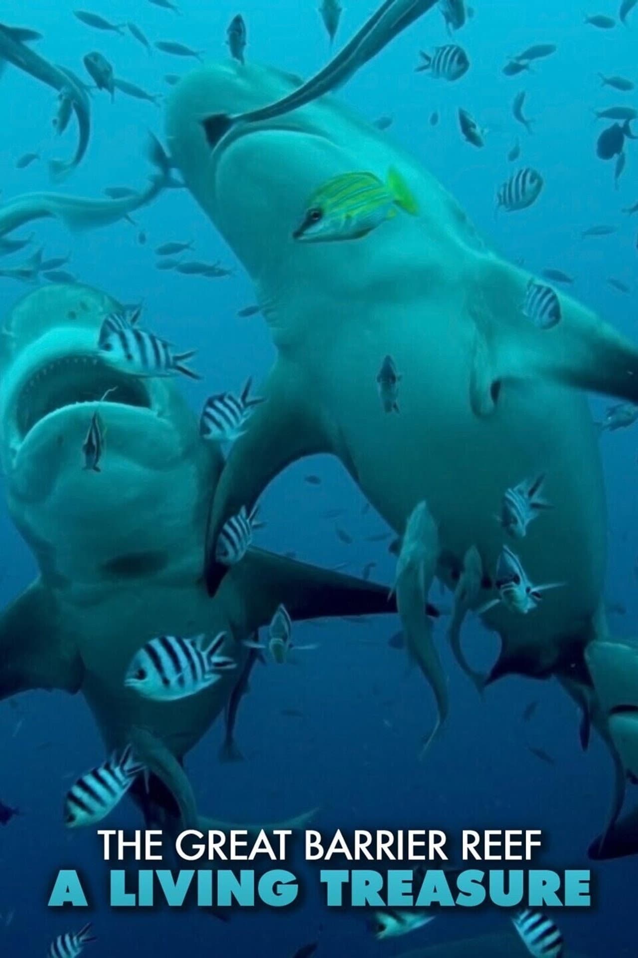 The Great Barrier Reef: A Living Treasure preview 2