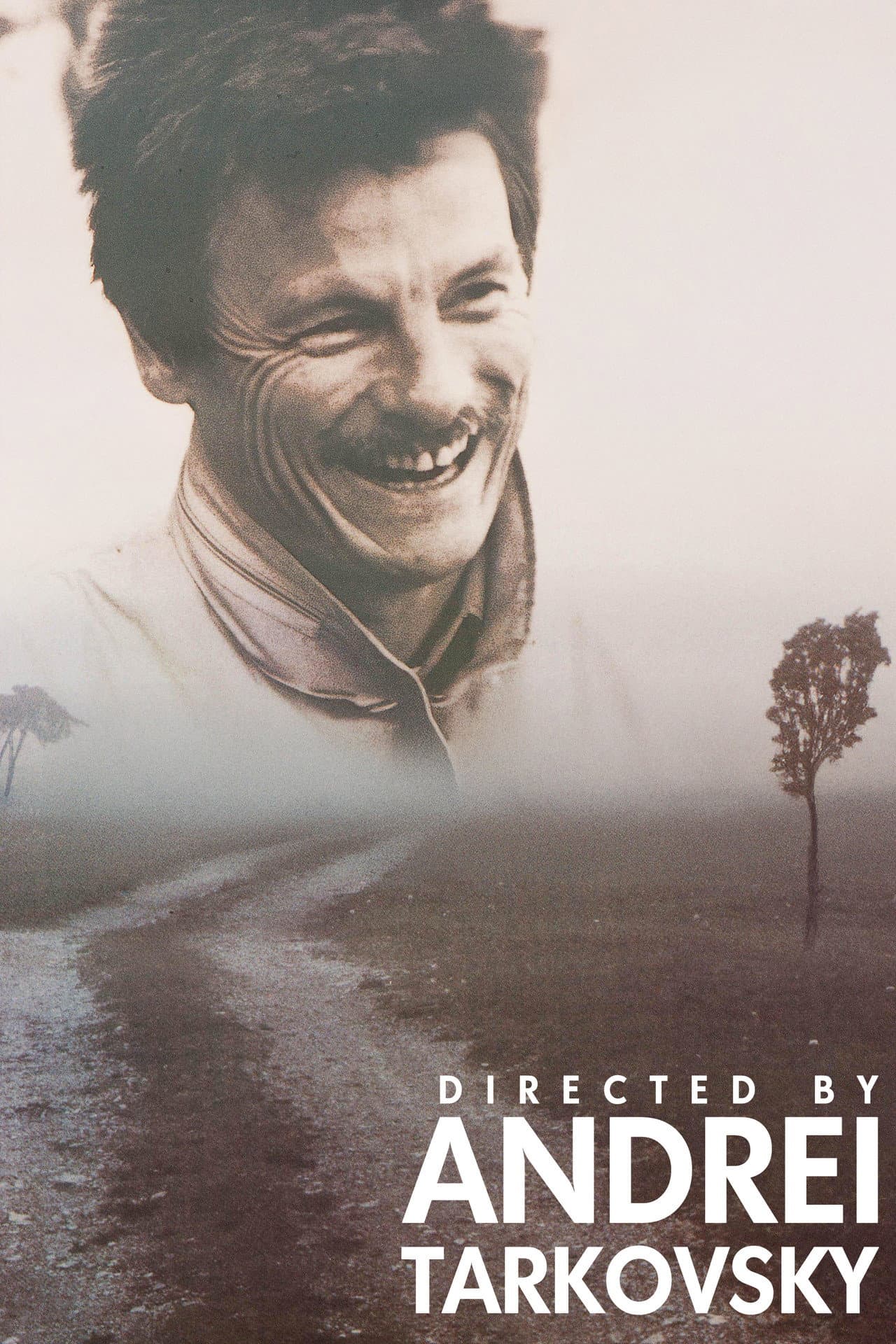 Directed by Andrei Tarkovsky preview 2