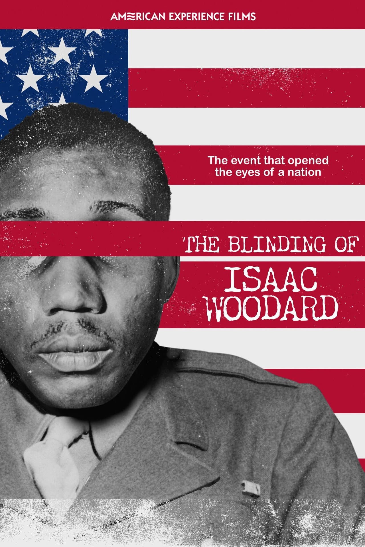 The Blinding of Isaac Woodard preview 2