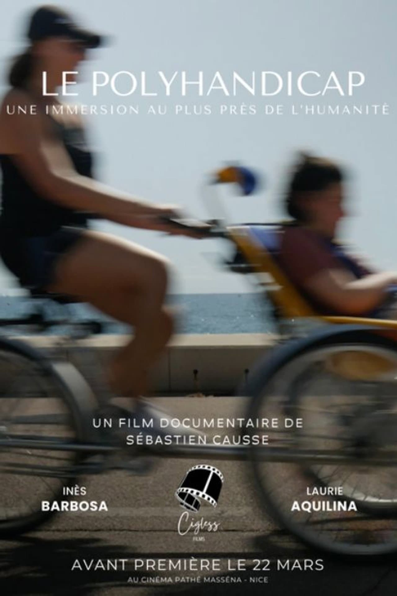 Le Polyhandicap : Une immersion au plus près de l'humanité preview 2