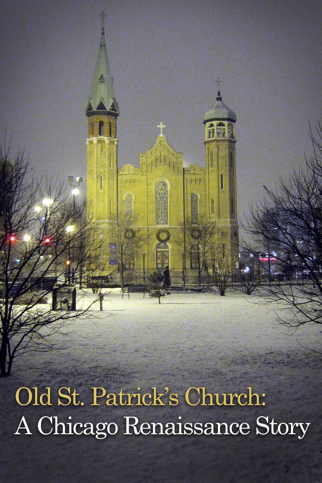 Old St. Patrick's Church: Chicago Renaissance Story preview 2