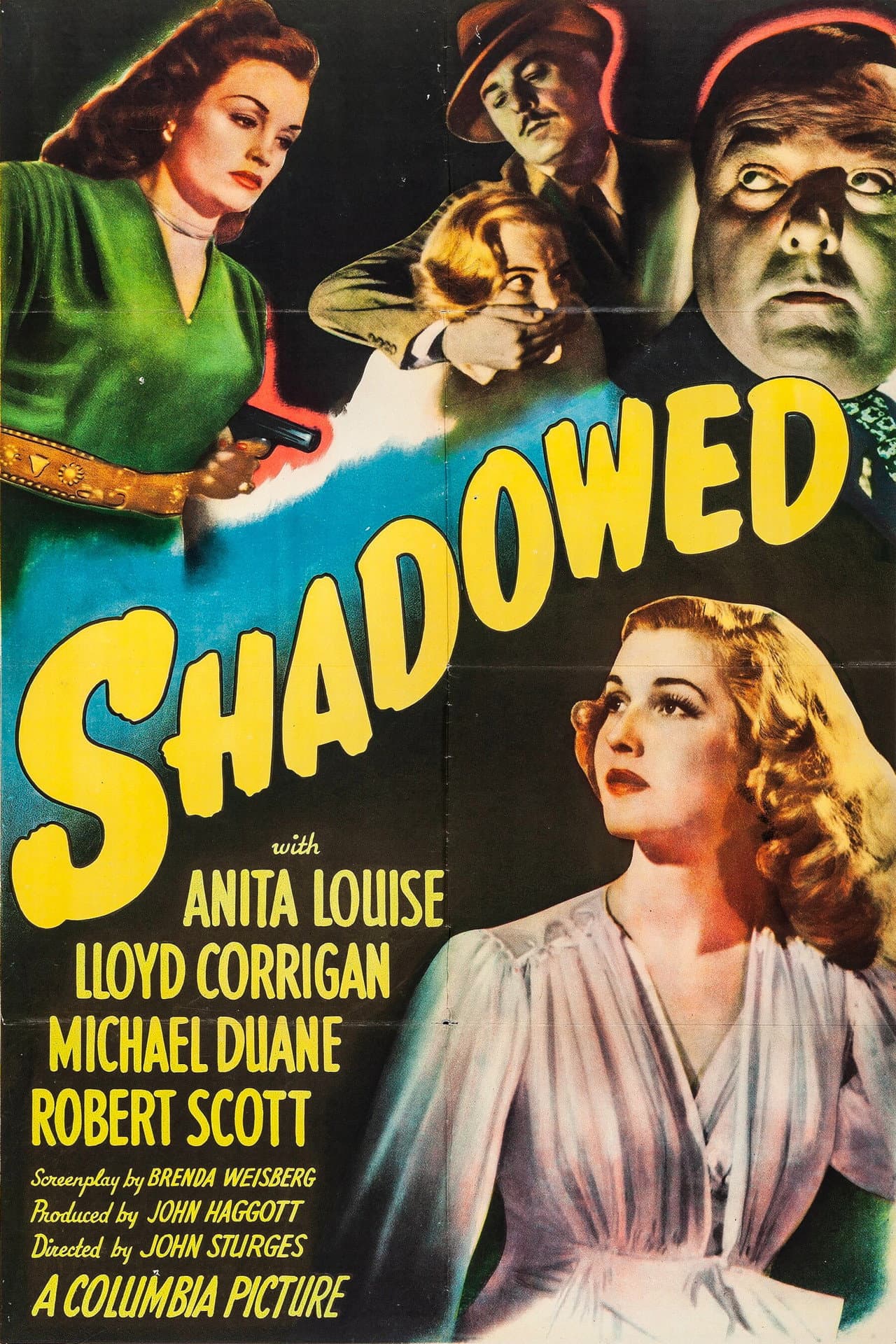 Shadowed preview 2