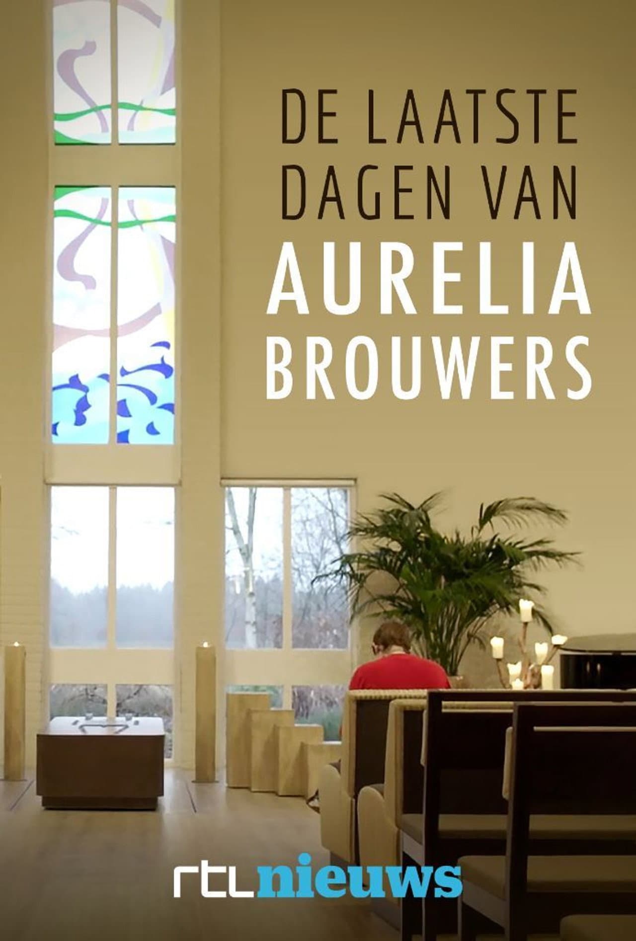 De Laatste Dagen van Aurelia Brouwers preview 1