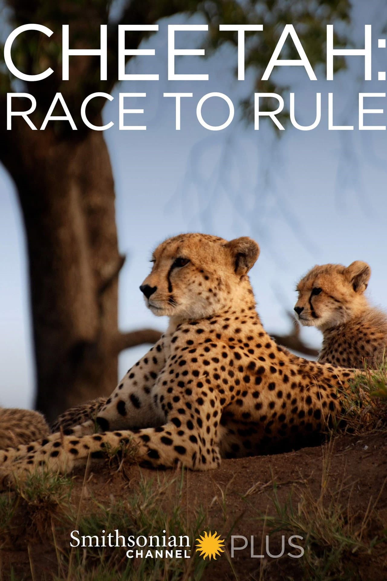 Cheetah: Race to Rule preview 1