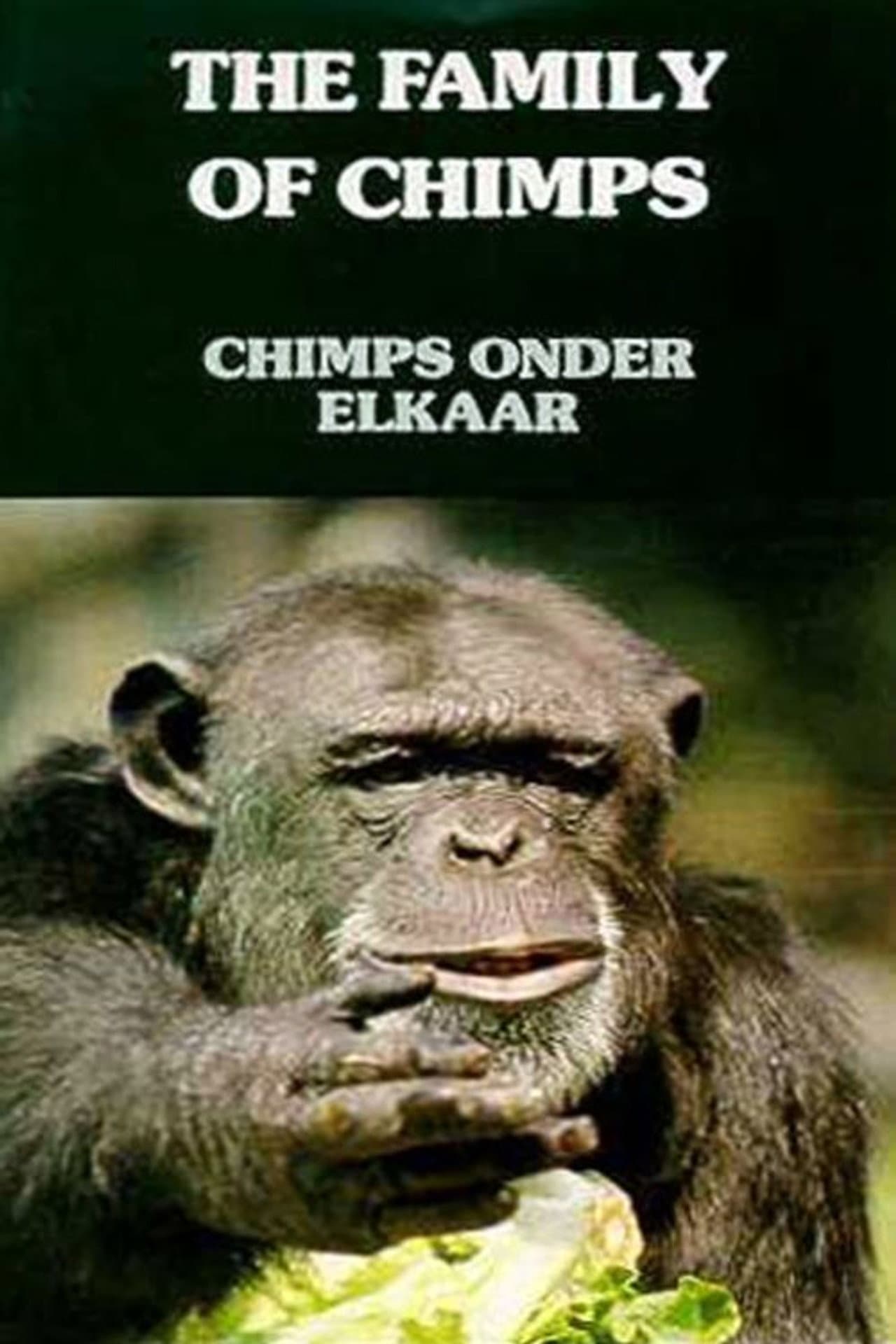 The Family of Chimps preview 1