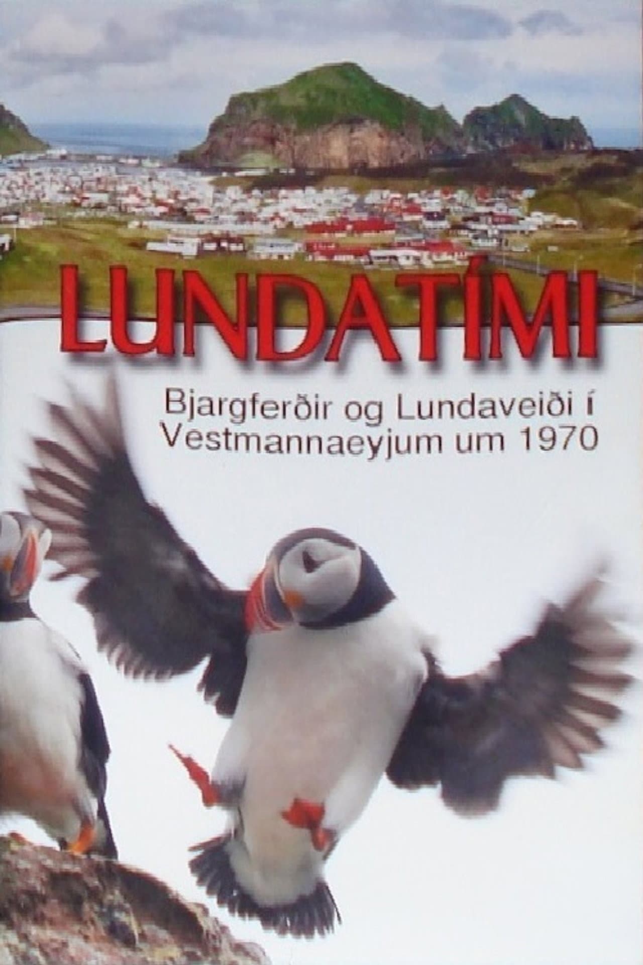 Puffin Season preview 1