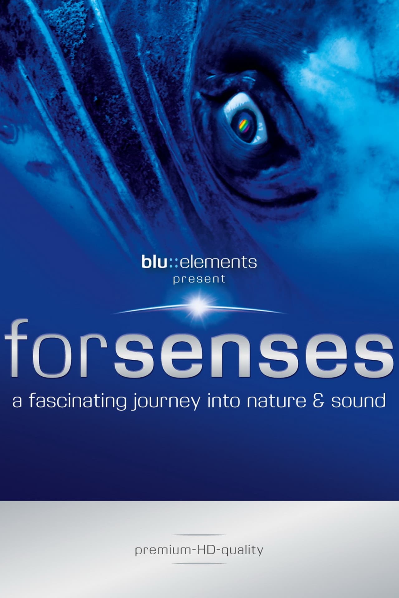 Forsenses - A Fascinating Journey into Nature & Sound preview 2