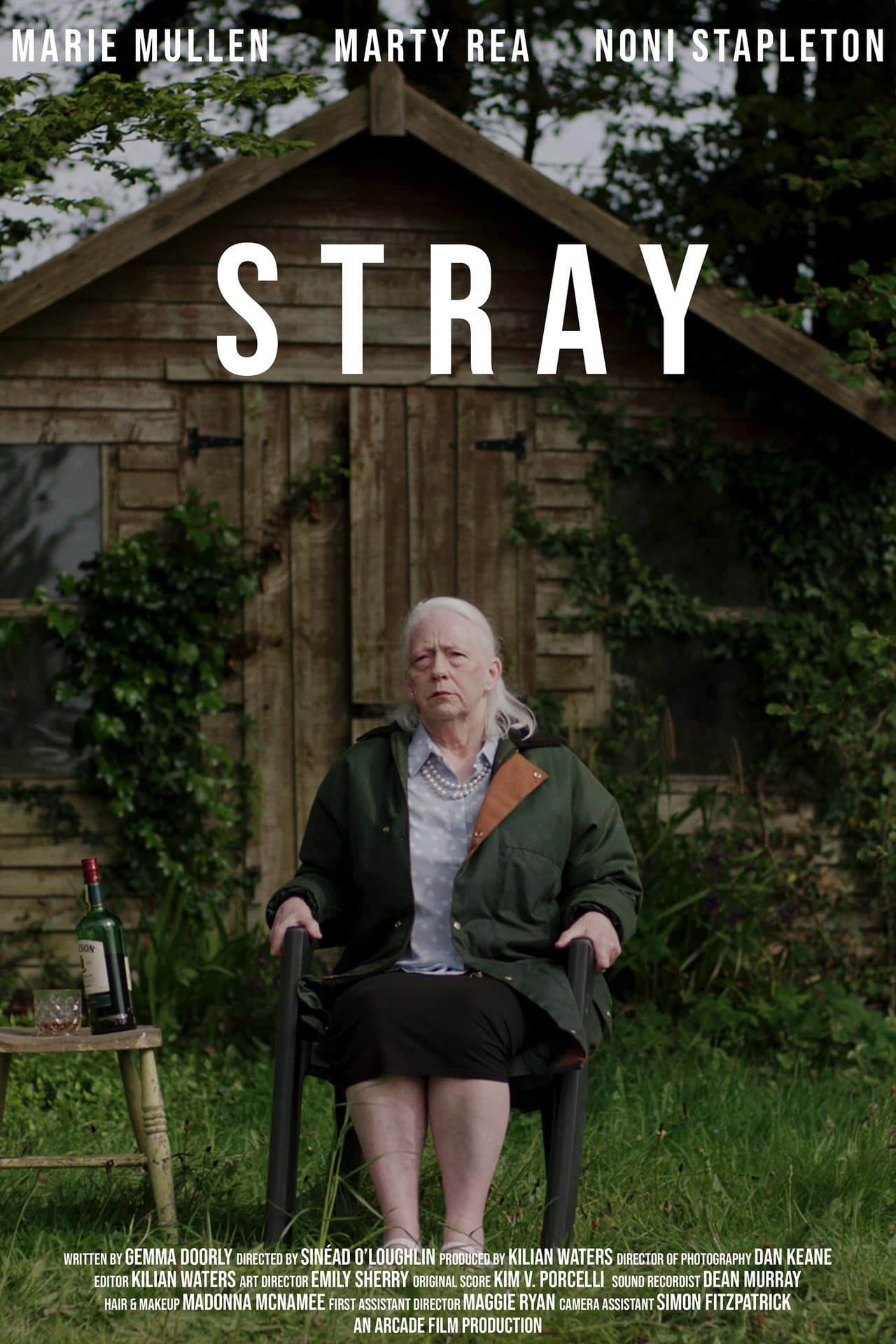 Stray preview 1