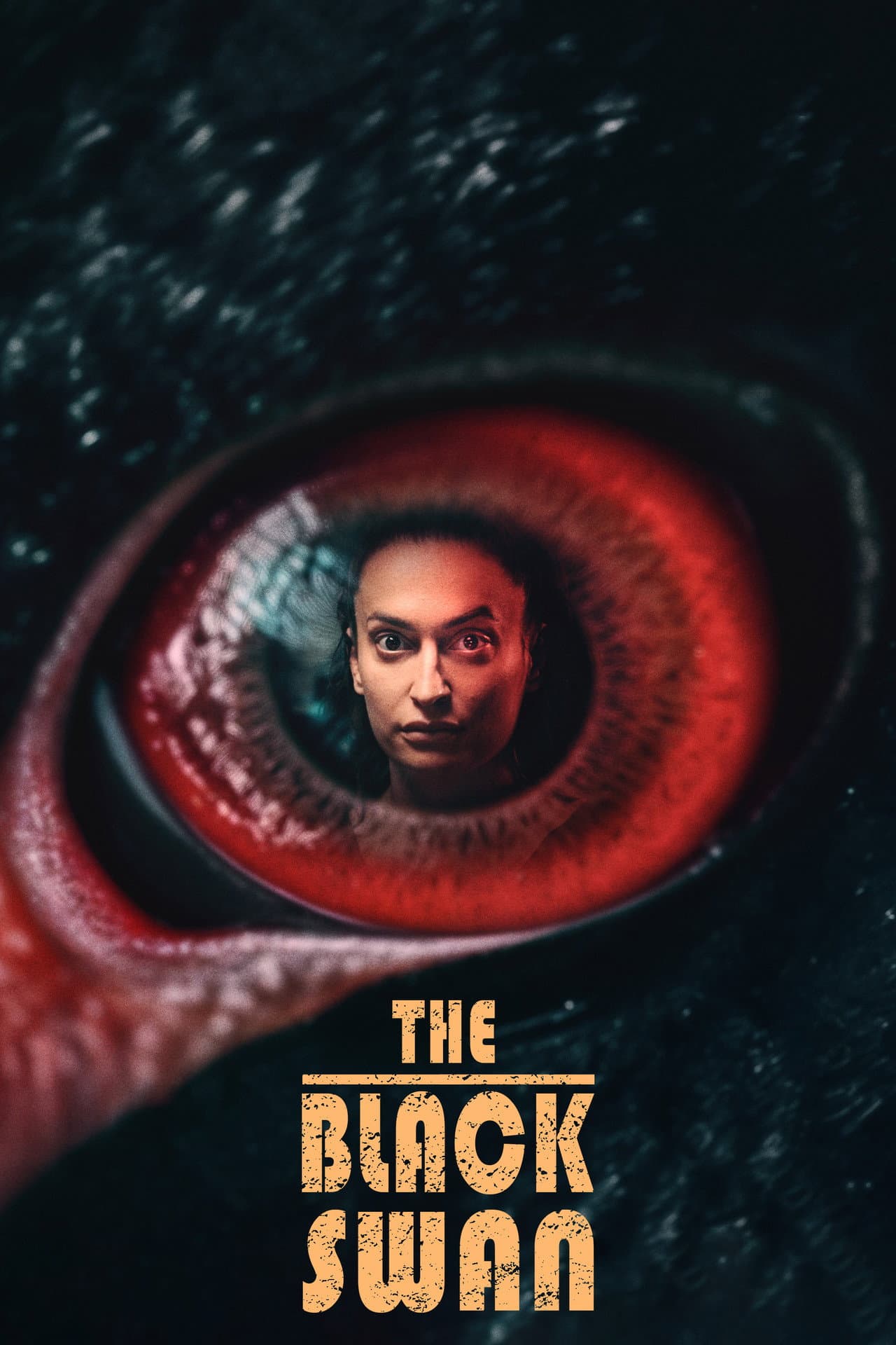 The Black Swan preview 2