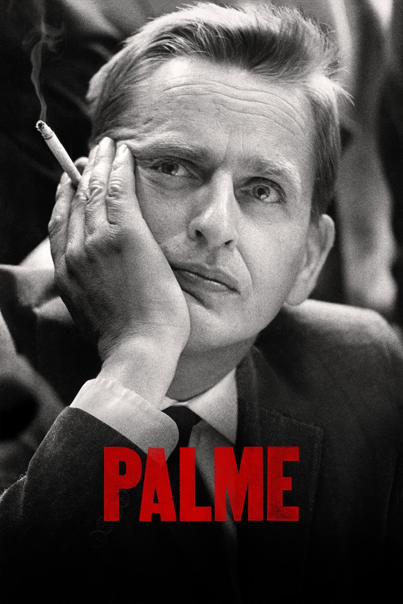 Palme preview 2