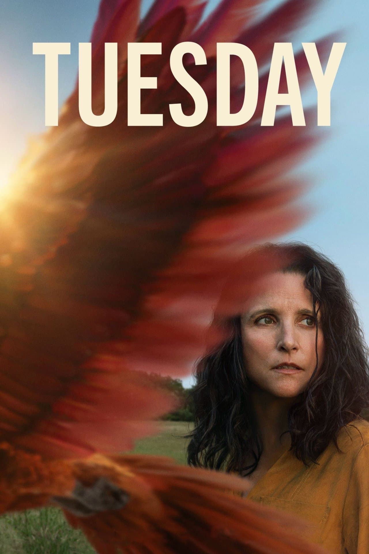 Tuesday preview 2